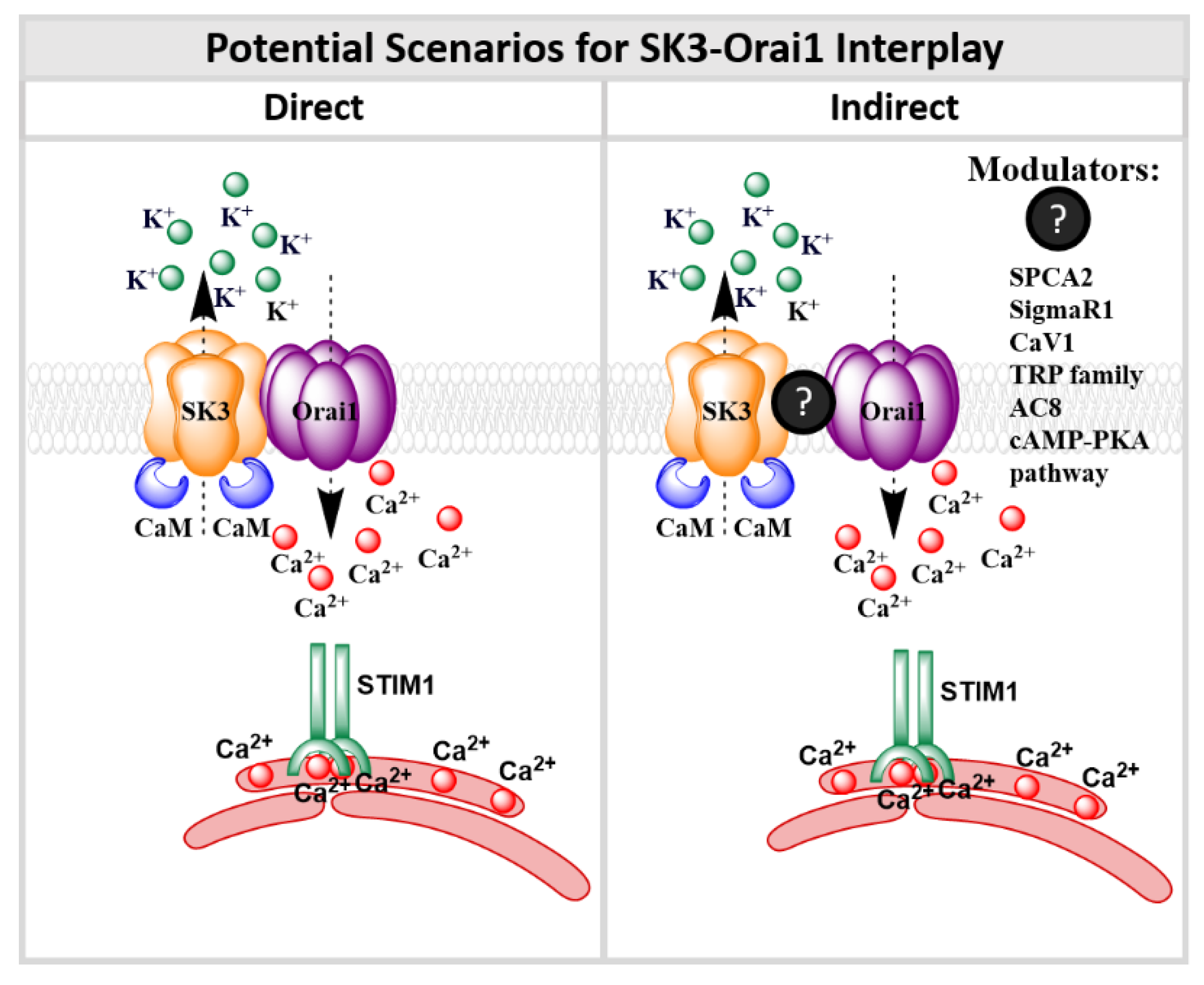 Membranes 10 00425 g010