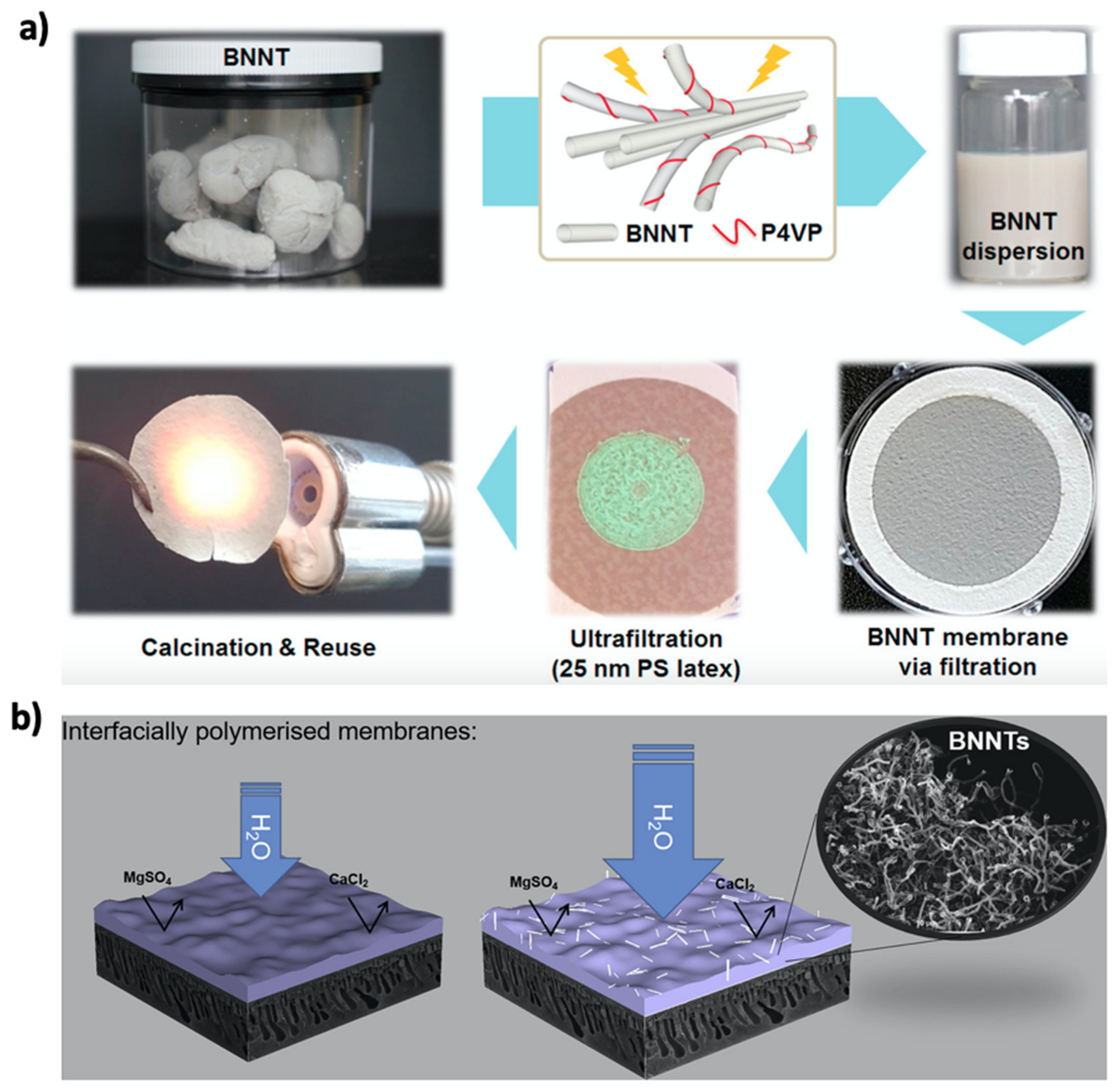 Membranes 10 00430 g006