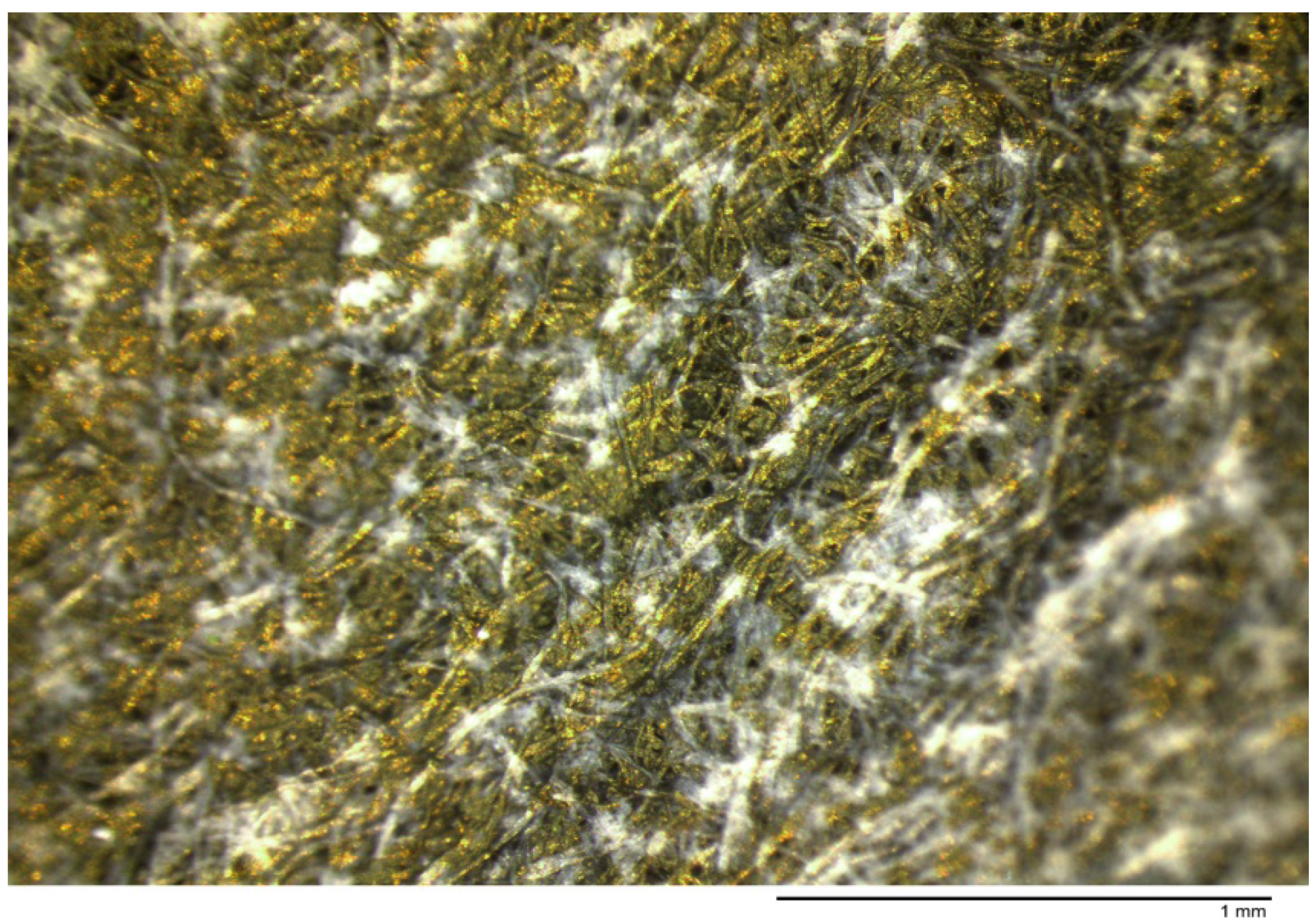 Membranes 10 00432 g006 Membranes 10 00432 g006