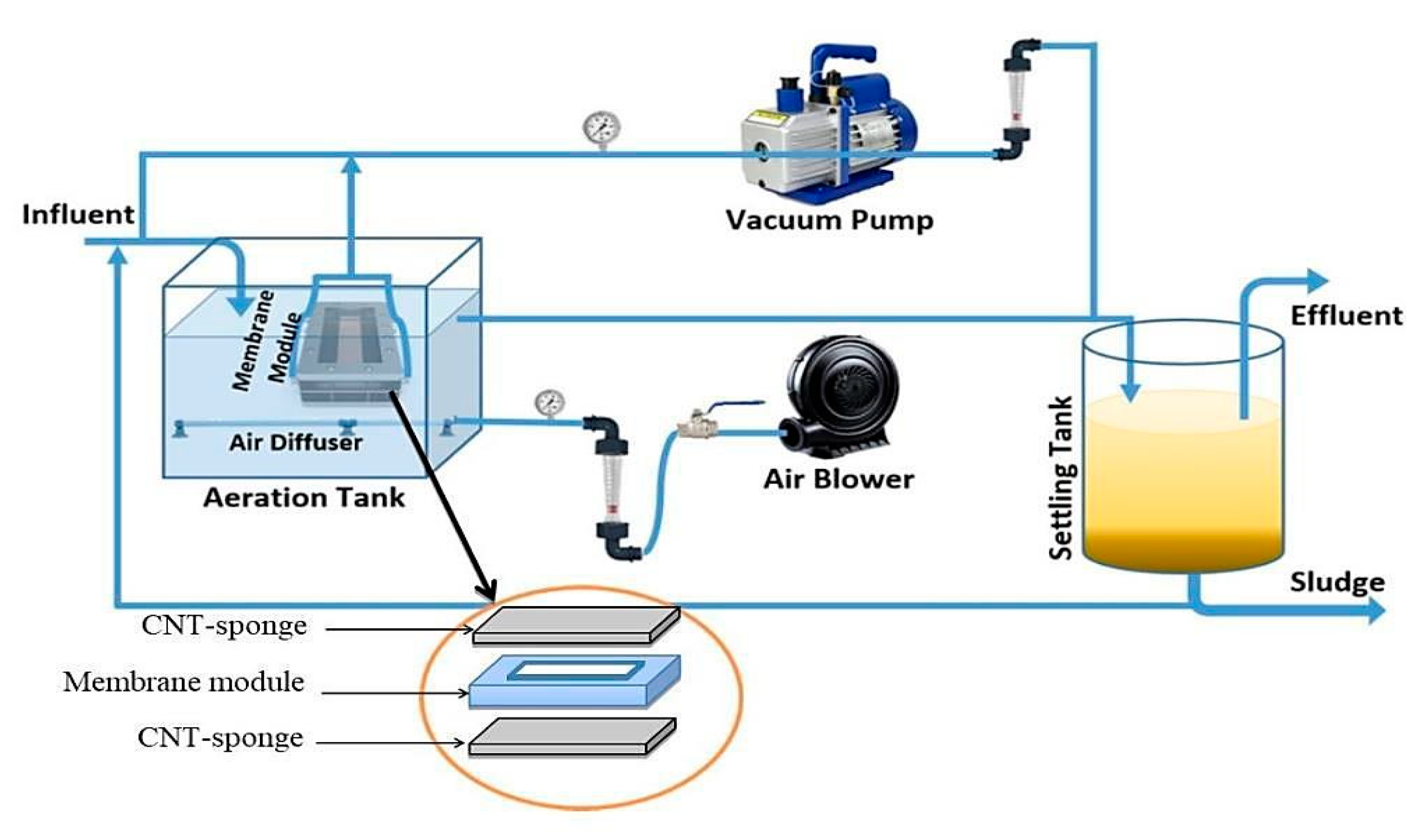 Membranes 10 00433 g002