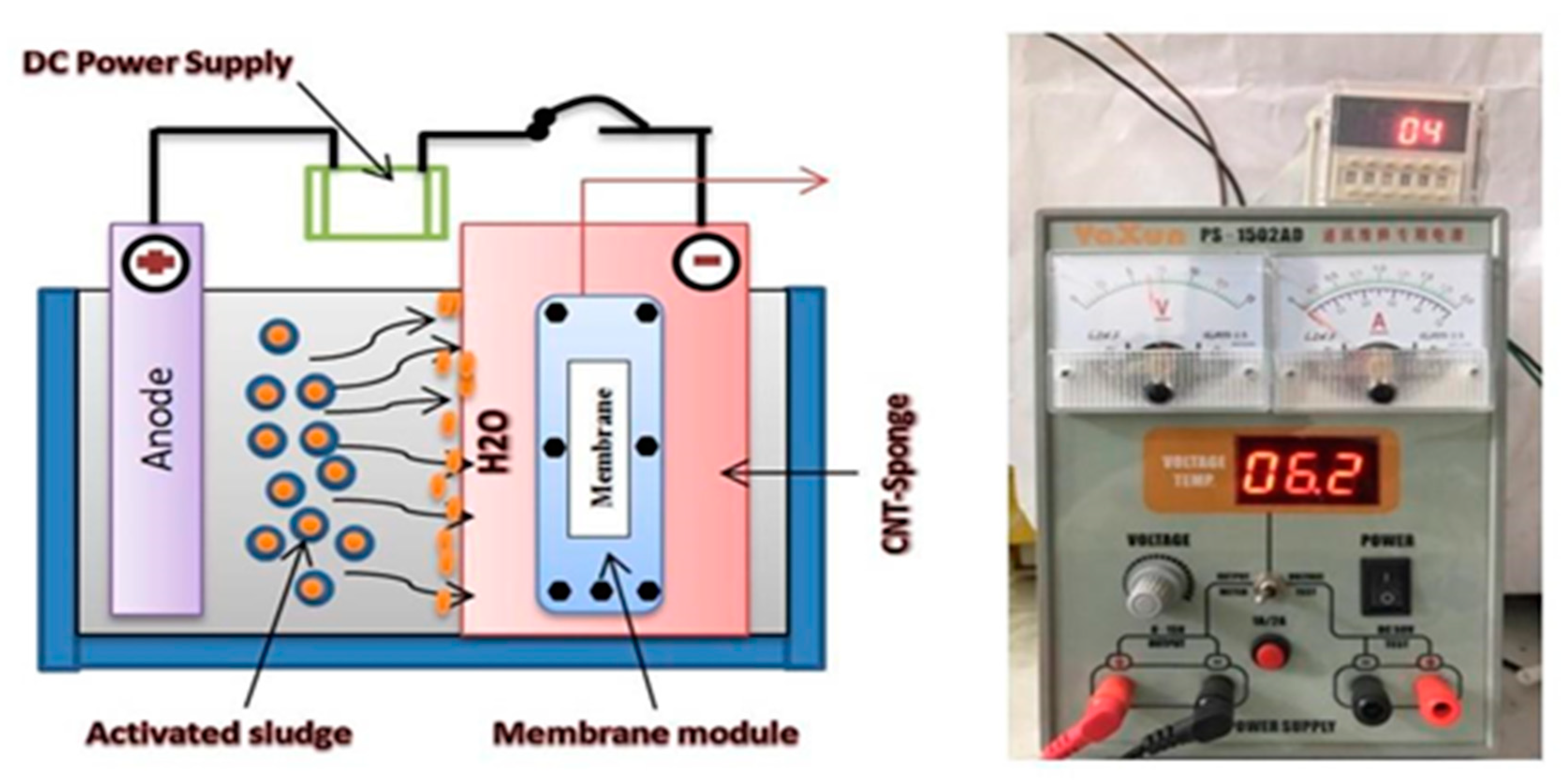 Membranes 10 00433 g003