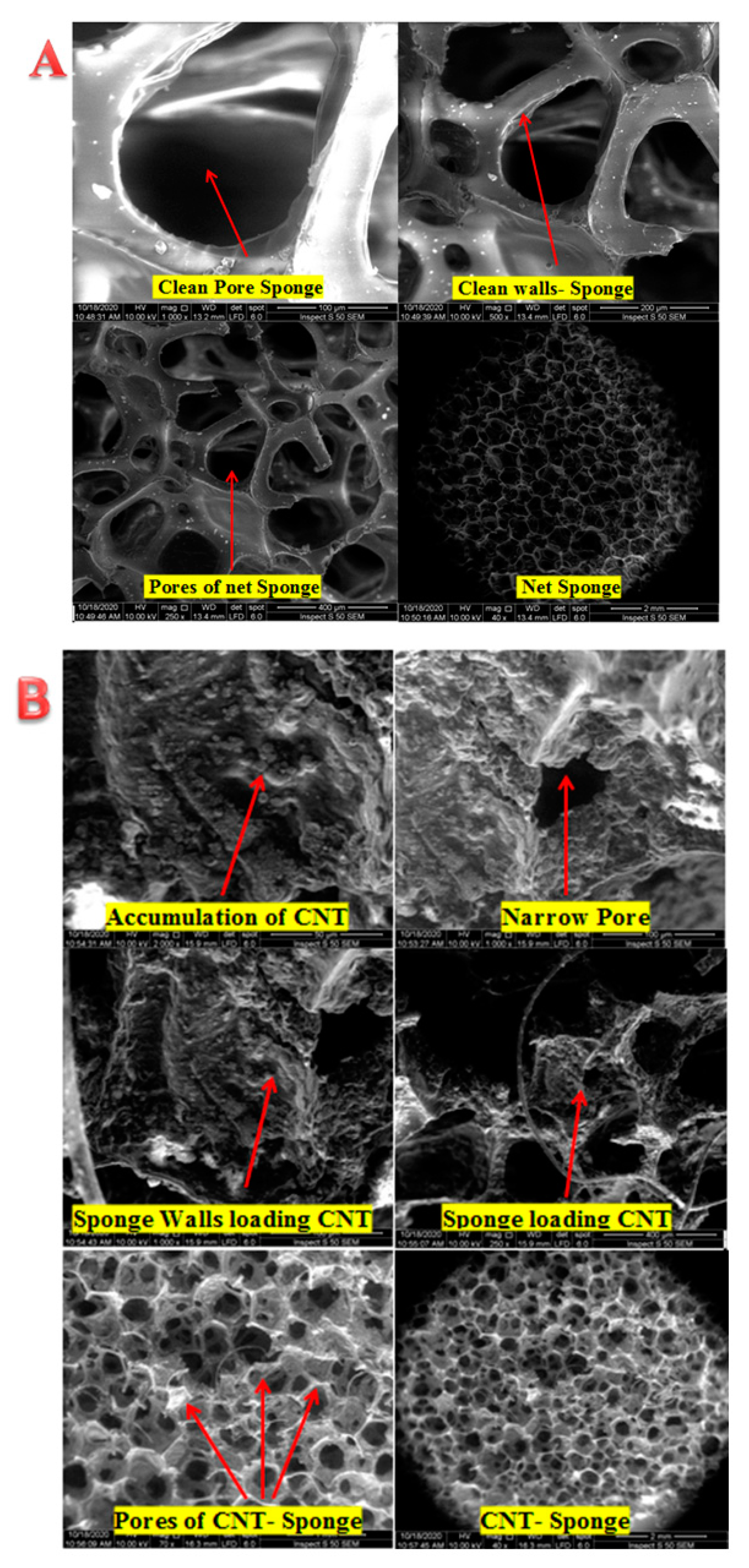 Membranes 10 00433 g004