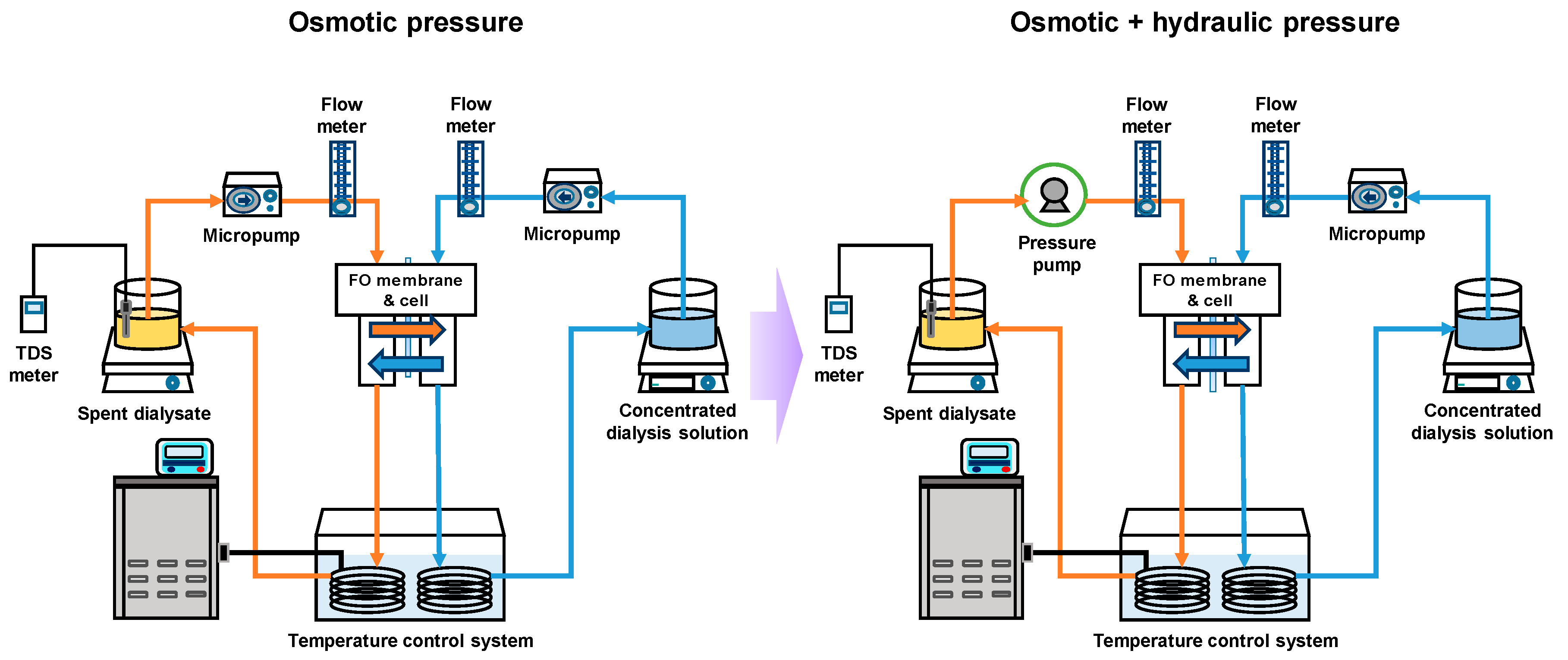 Membranes 10 00438 g001