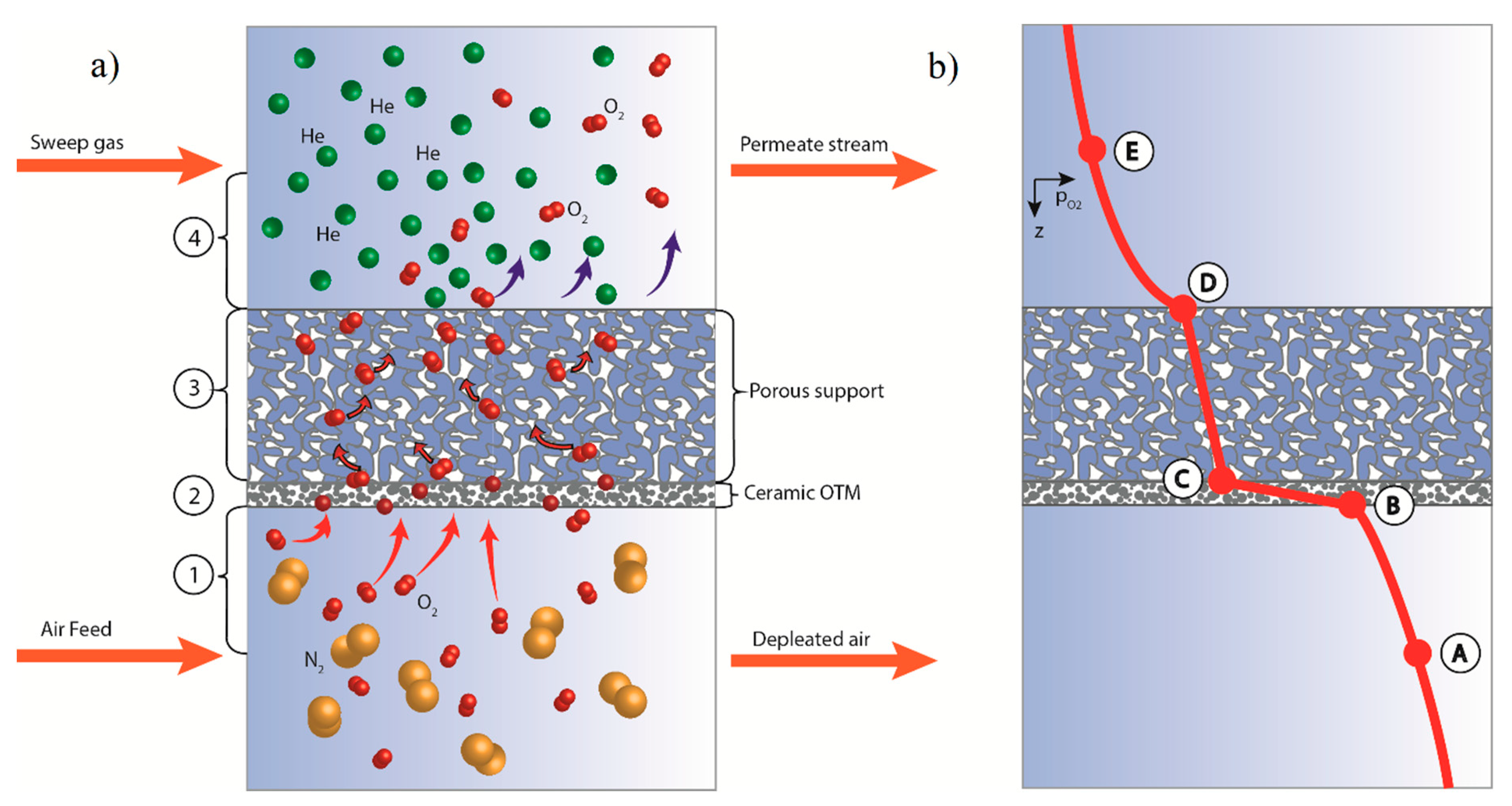 Membranes 10 00442 g002 Membranes 10 00442 g002