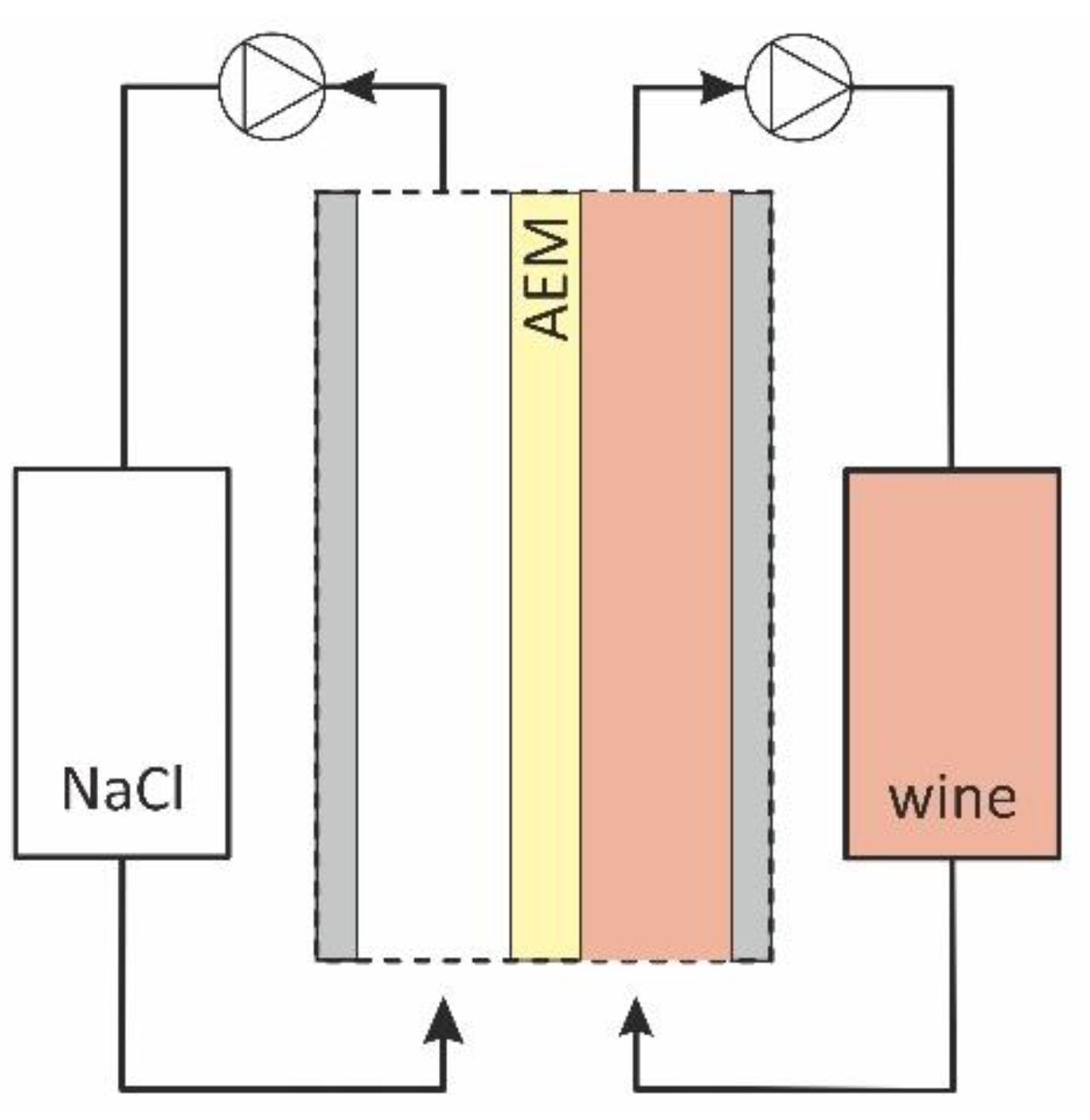 Membranes 11 00002 g001
