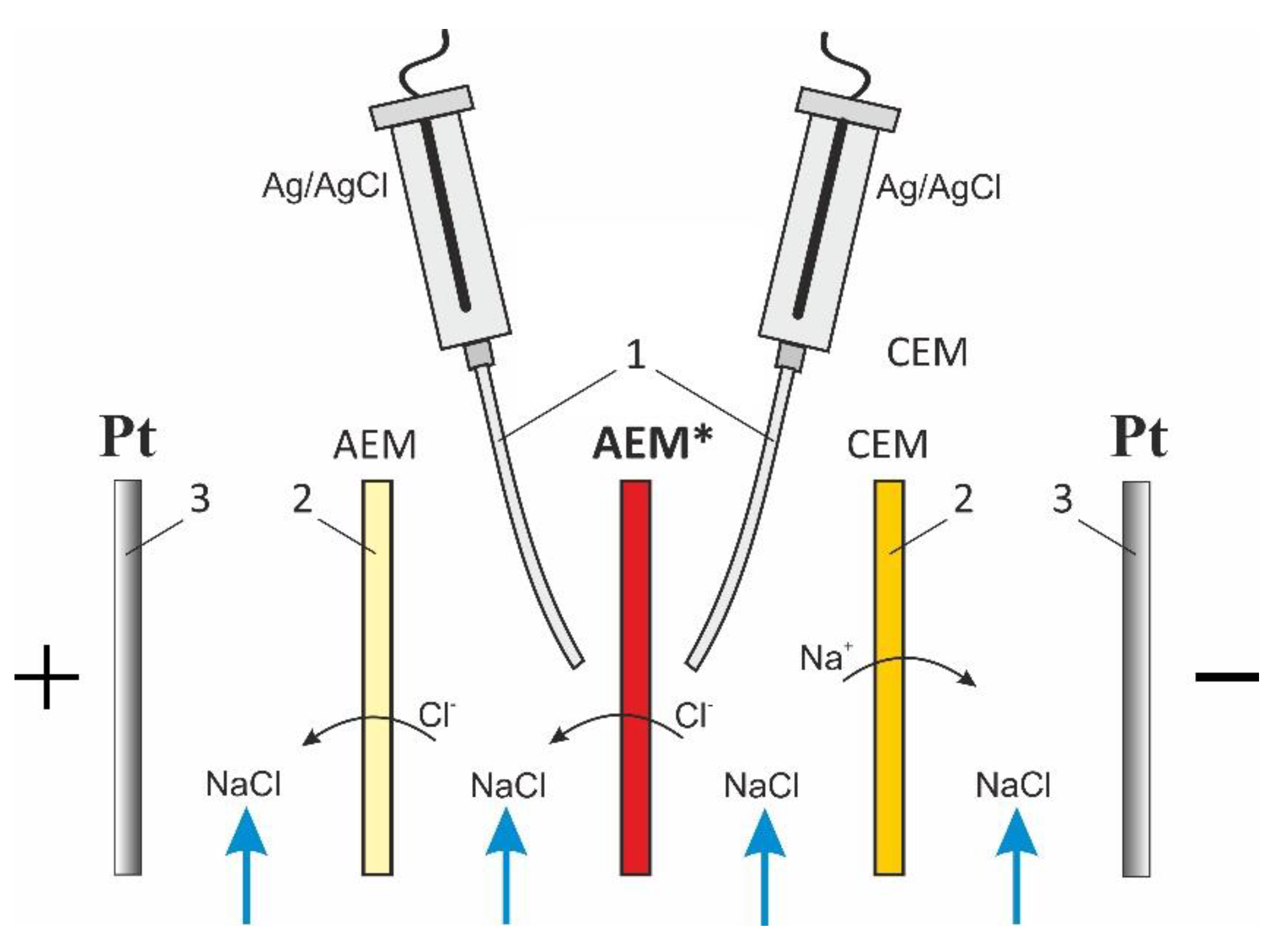 Membranes 11 00002 g002