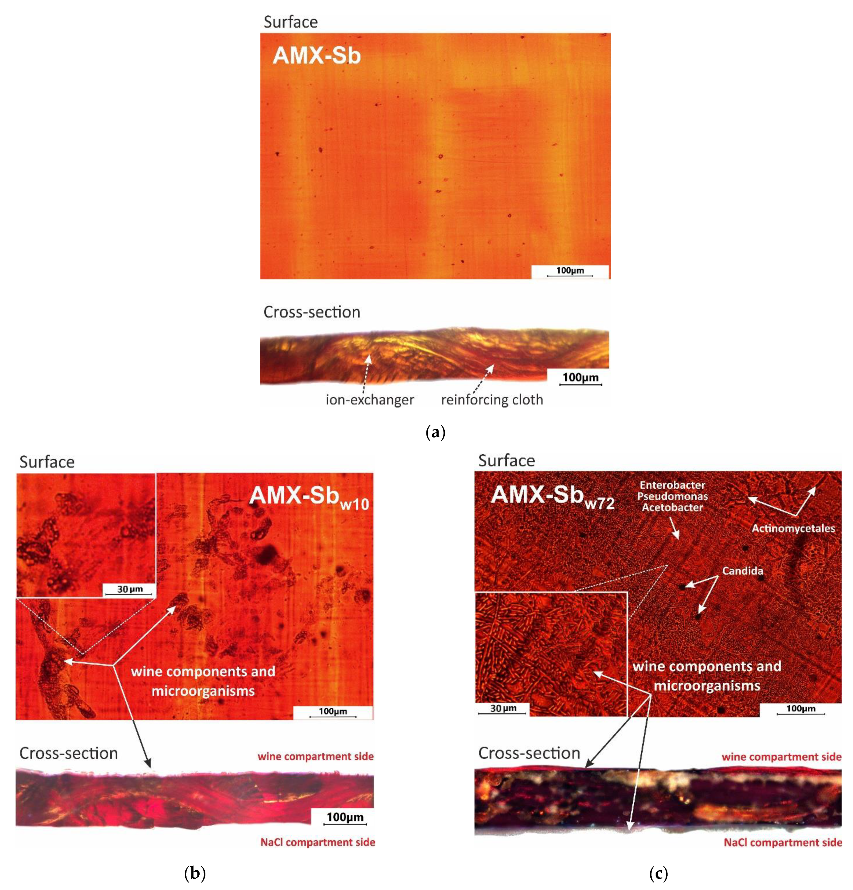 Membranes 11 00002 g004