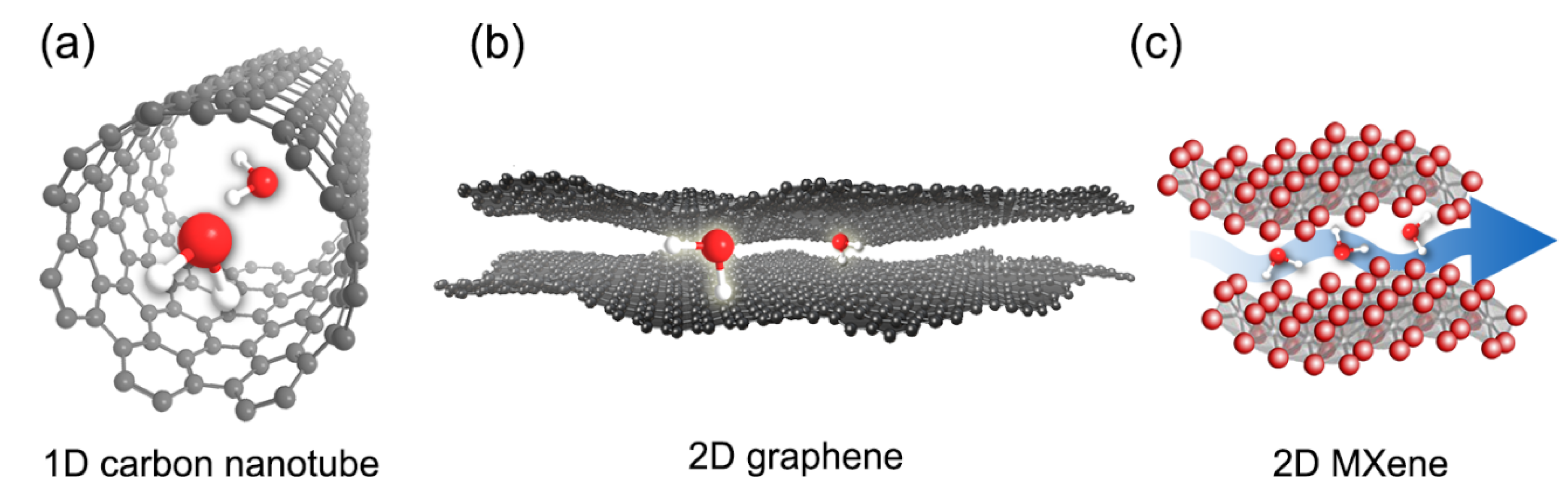 Membranes 11 00005 g002