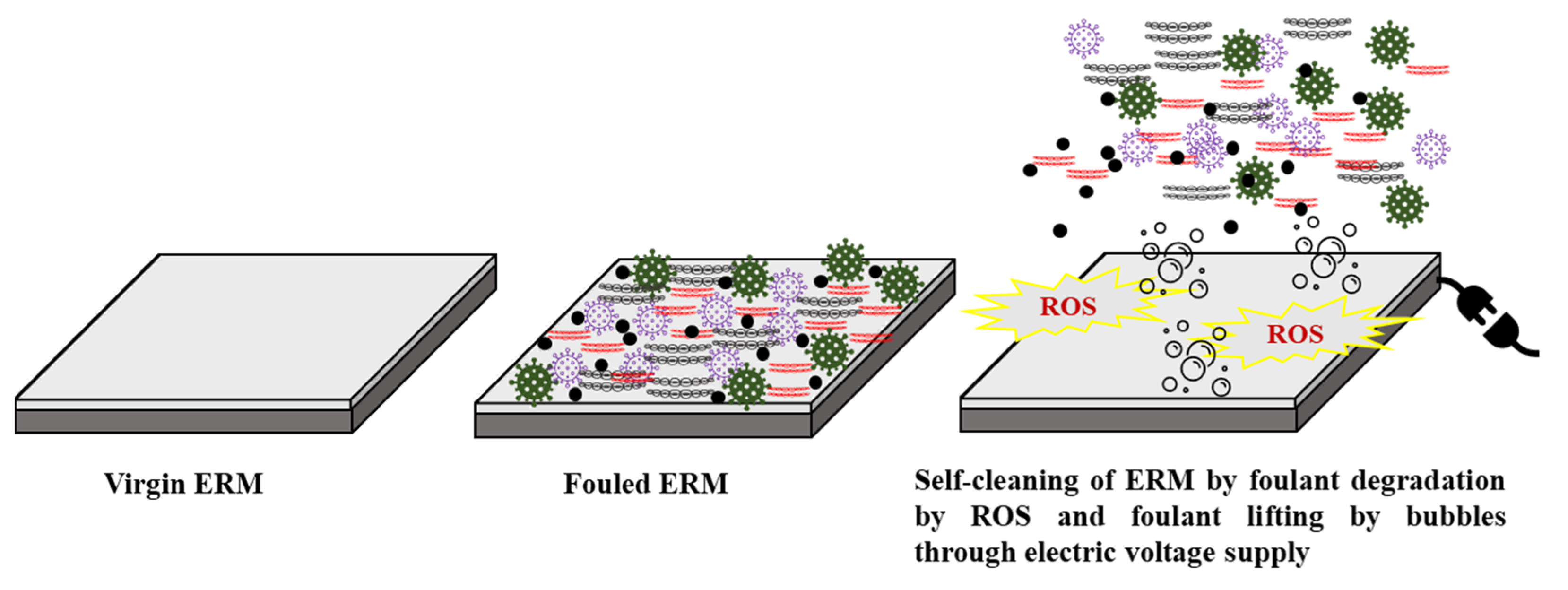Membranes 11 00005 g006