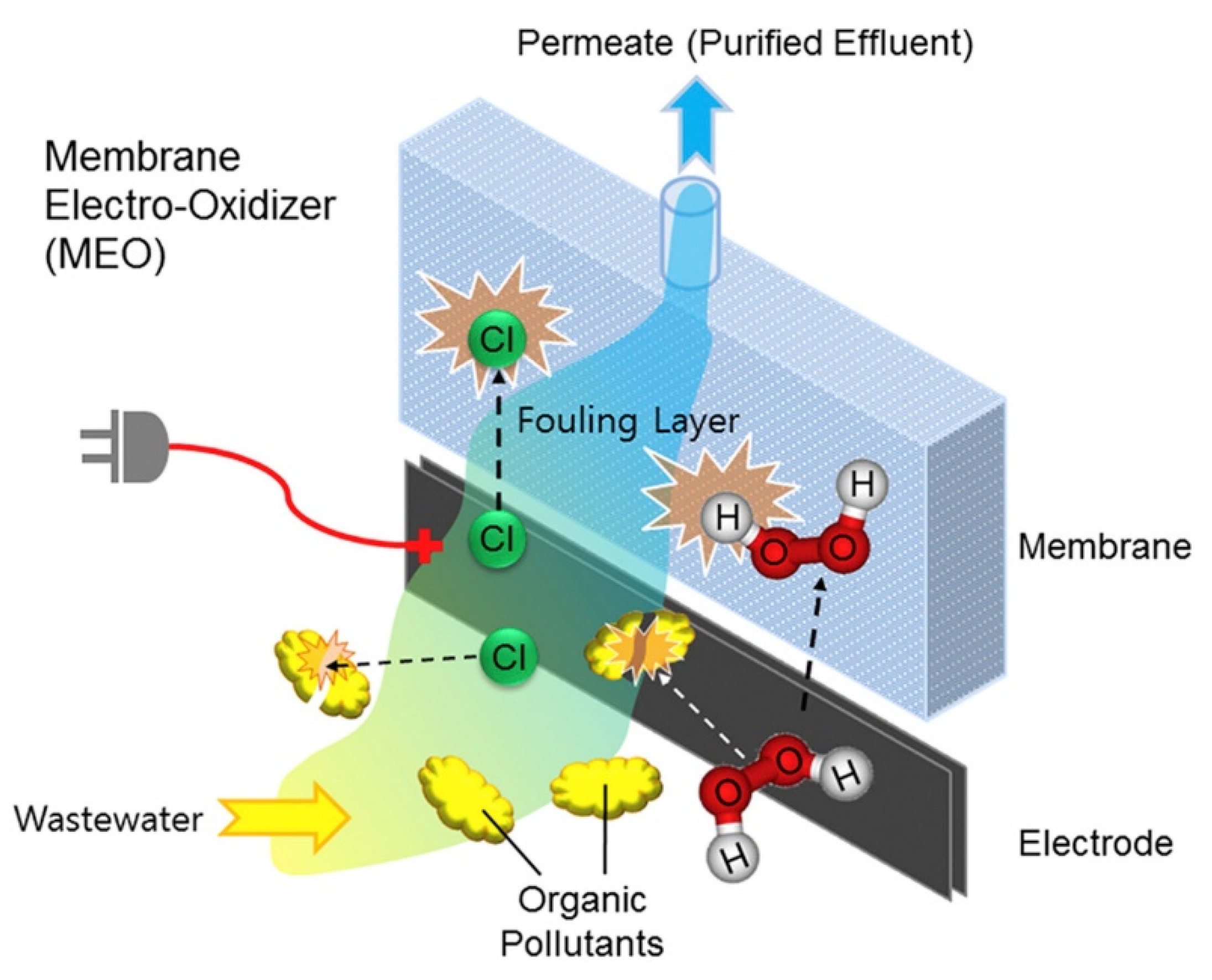 Membranes 11 00005 g008