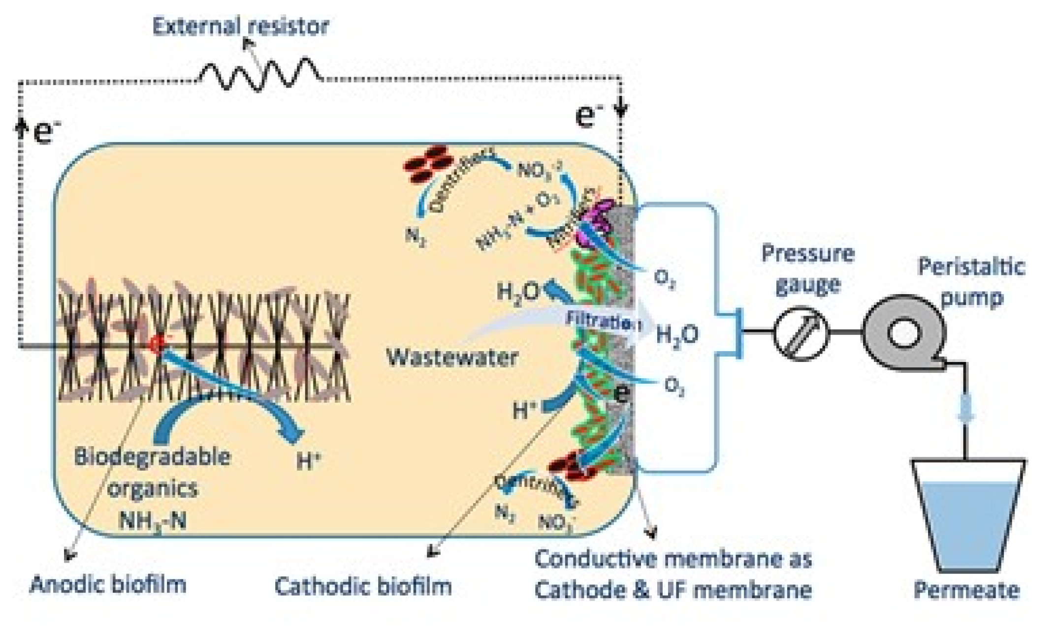 Membranes 11 00005 g012