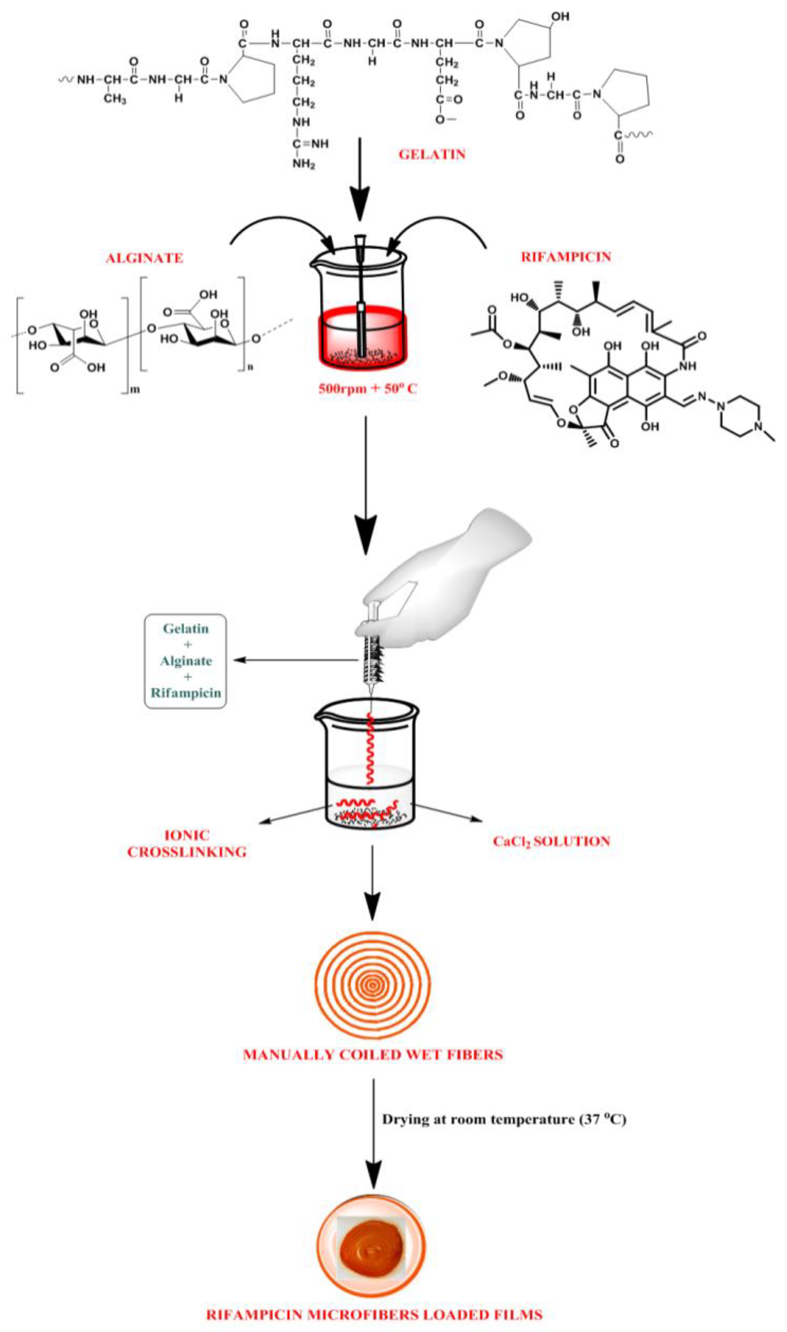 Membranes 11 00007 g001