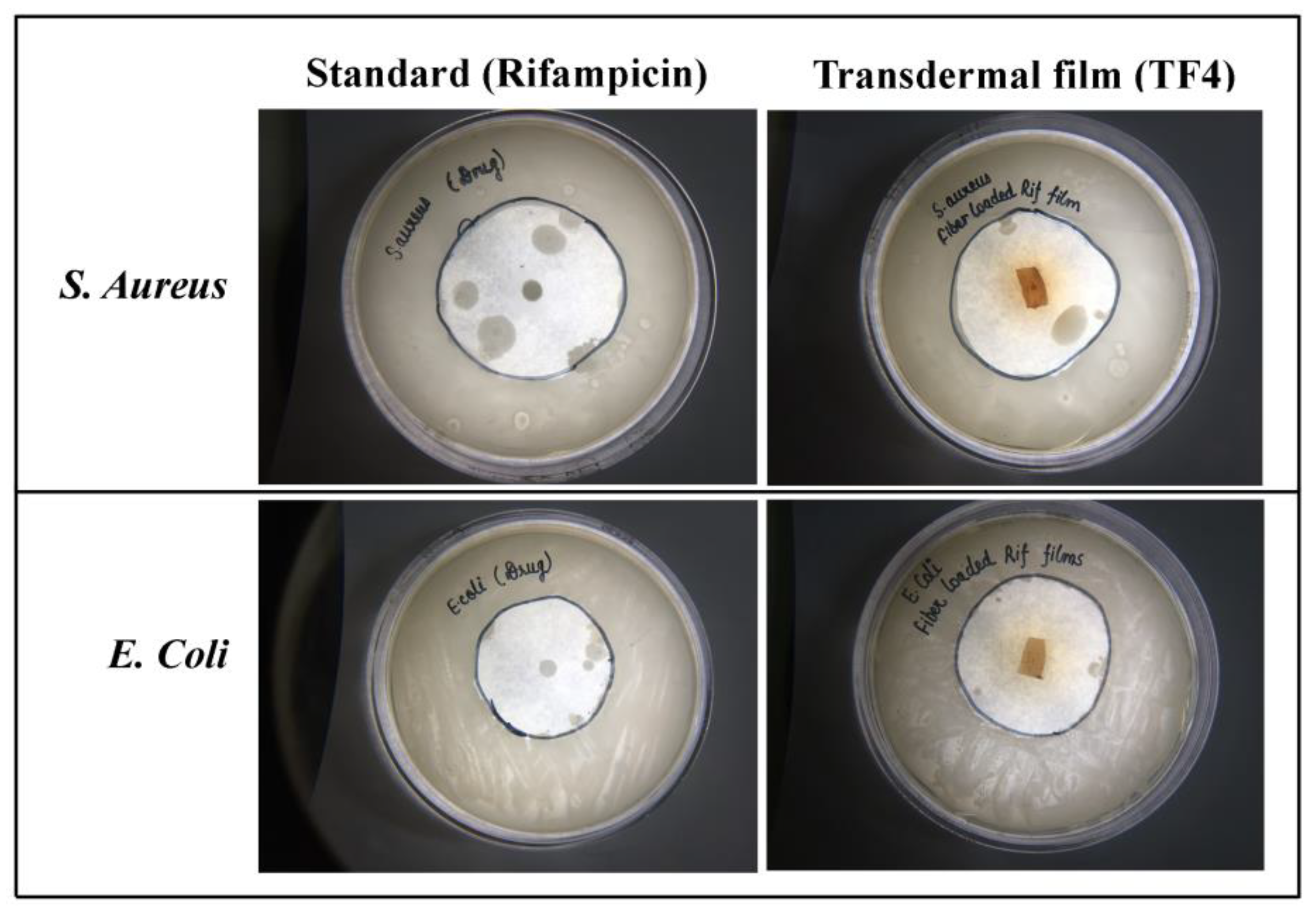 Membranes 11 00007 g007