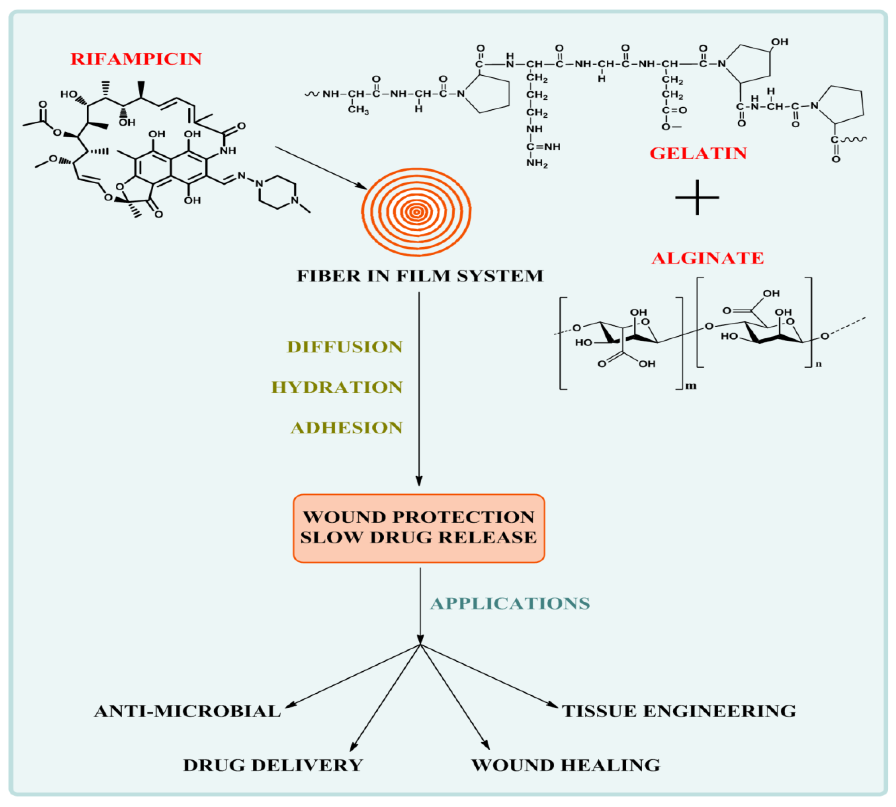 Membranes 11 00007 g009