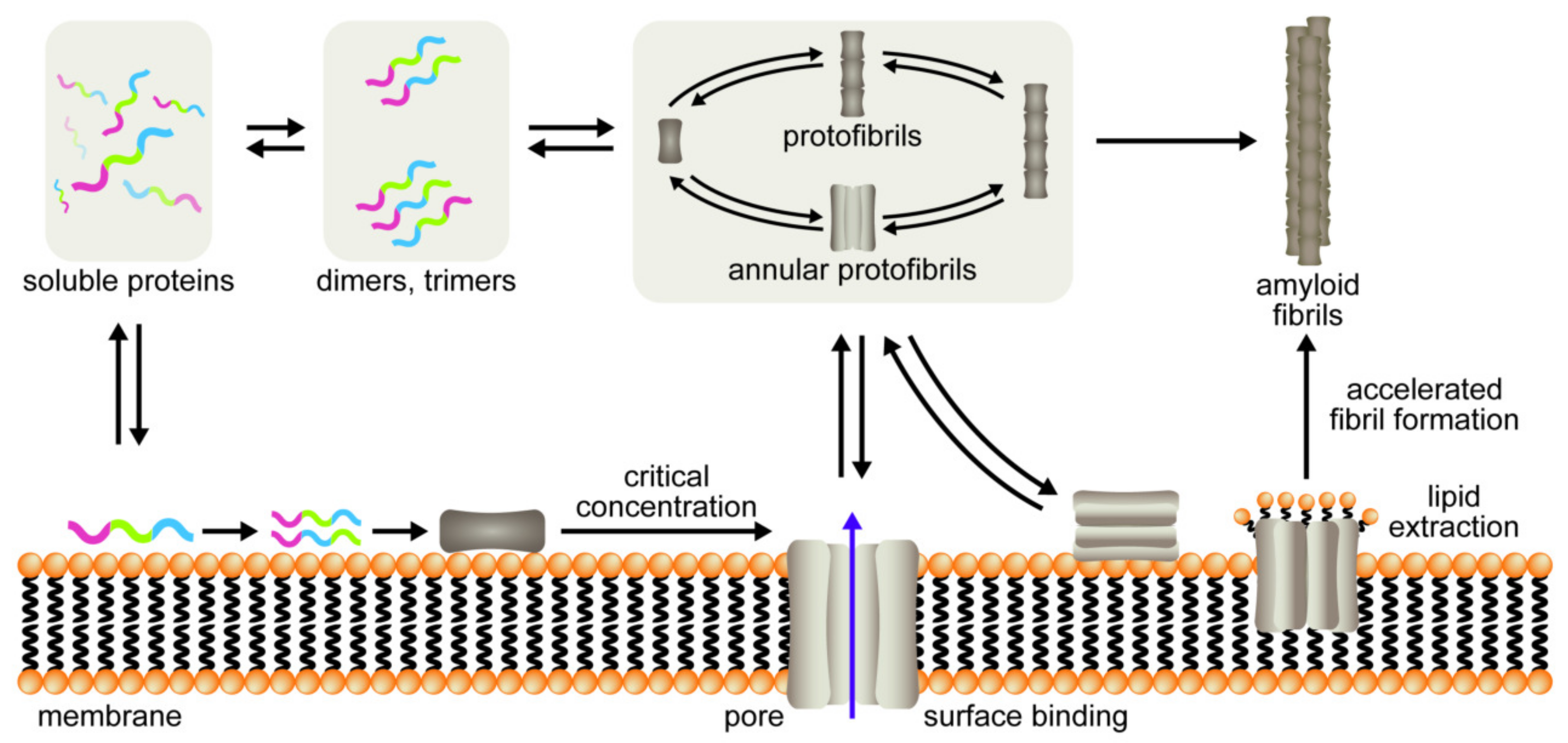 Membranes 11 00017 g001