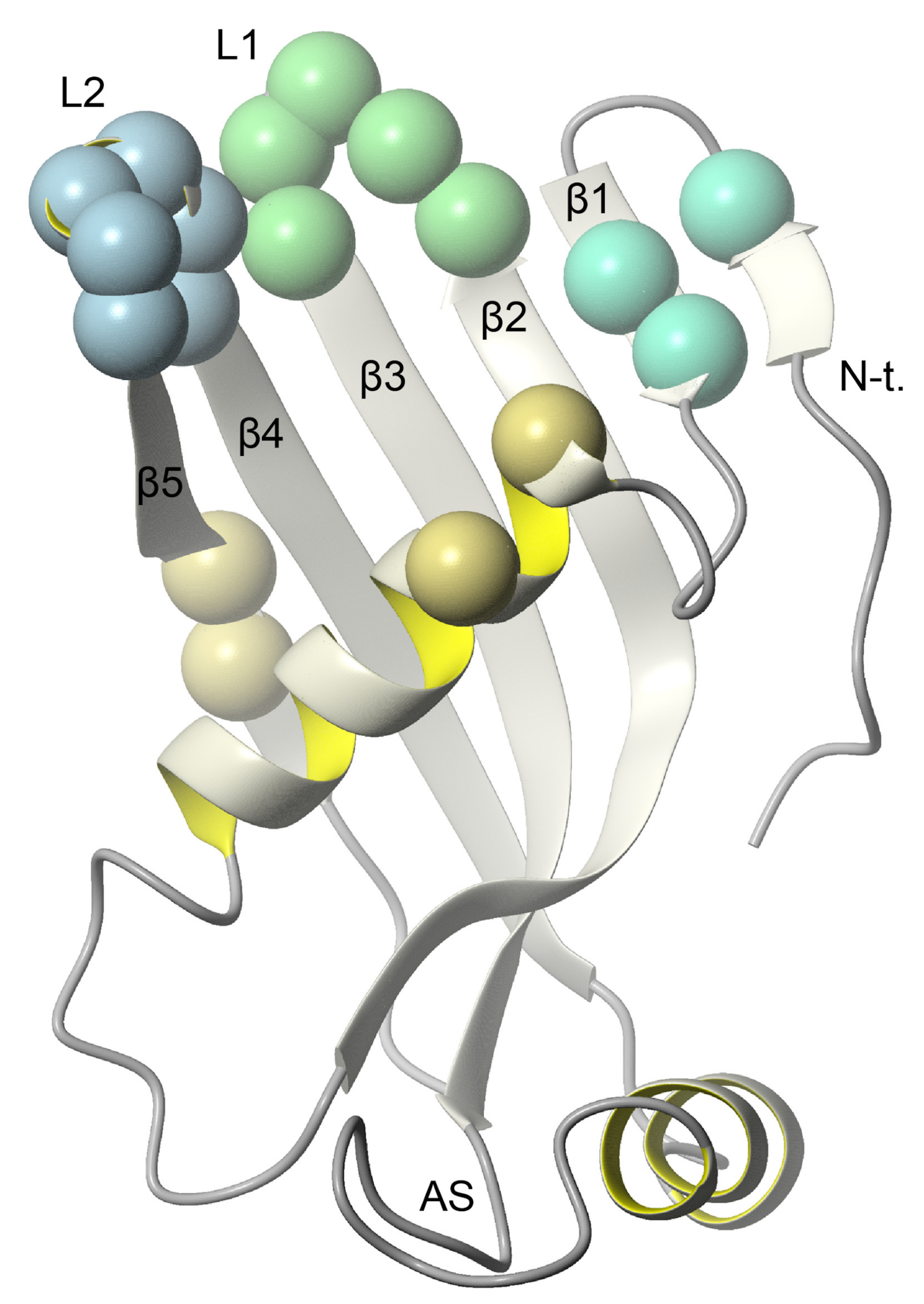 Membranes 11 00017 g006