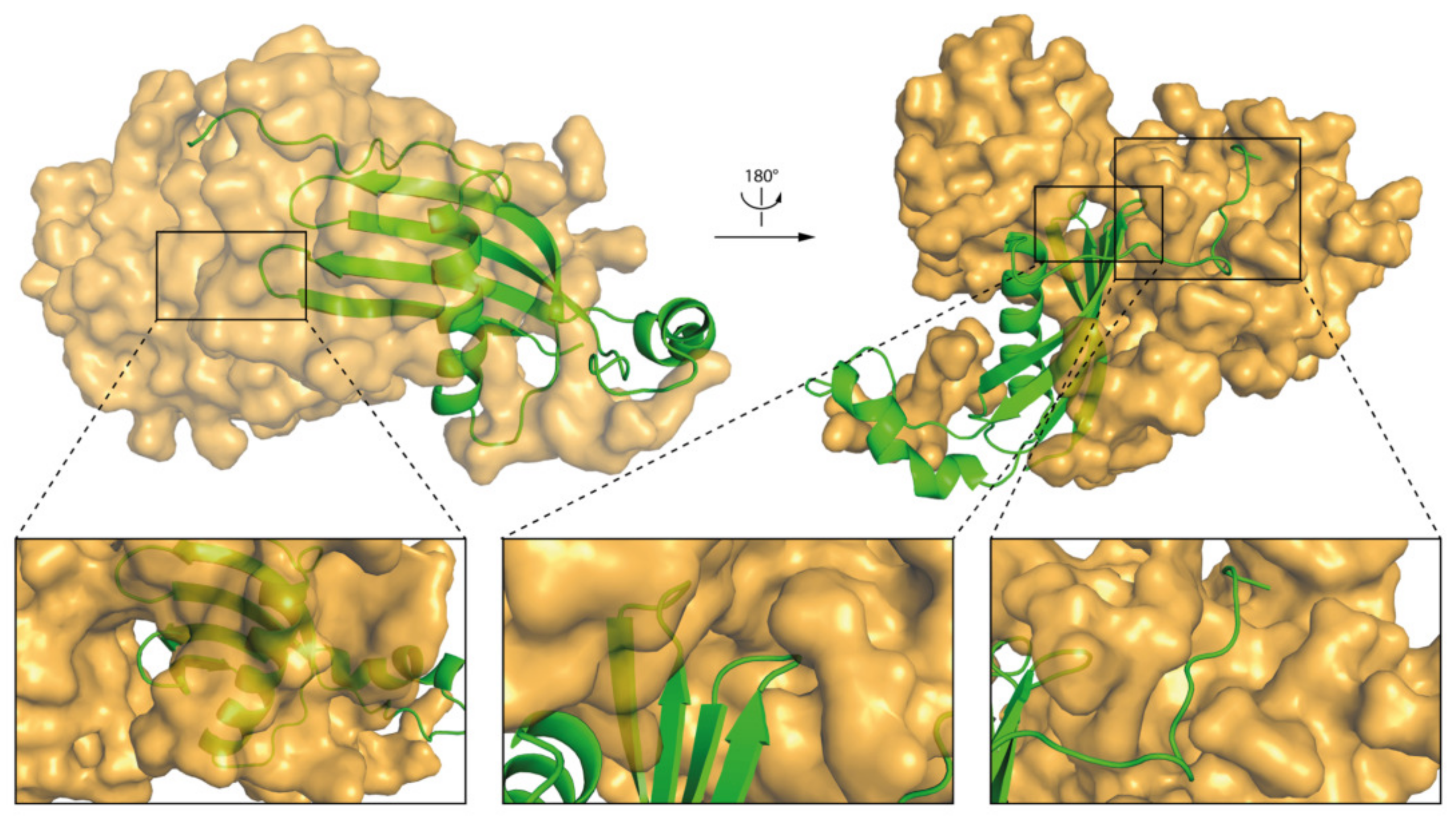 Membranes 11 00017 g008