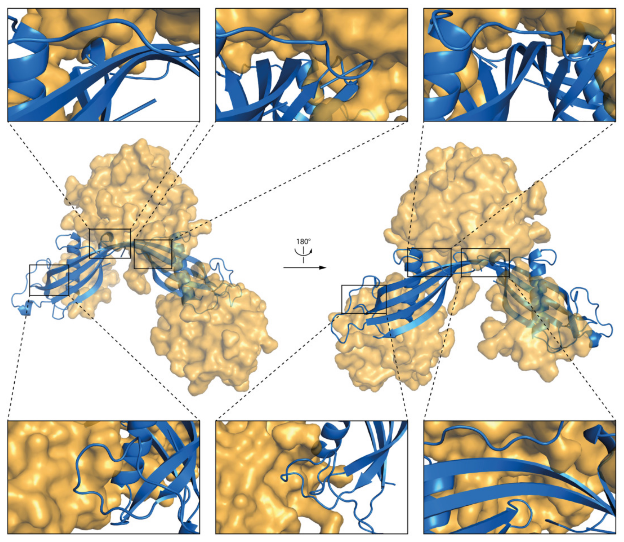 Membranes 11 00017 g011