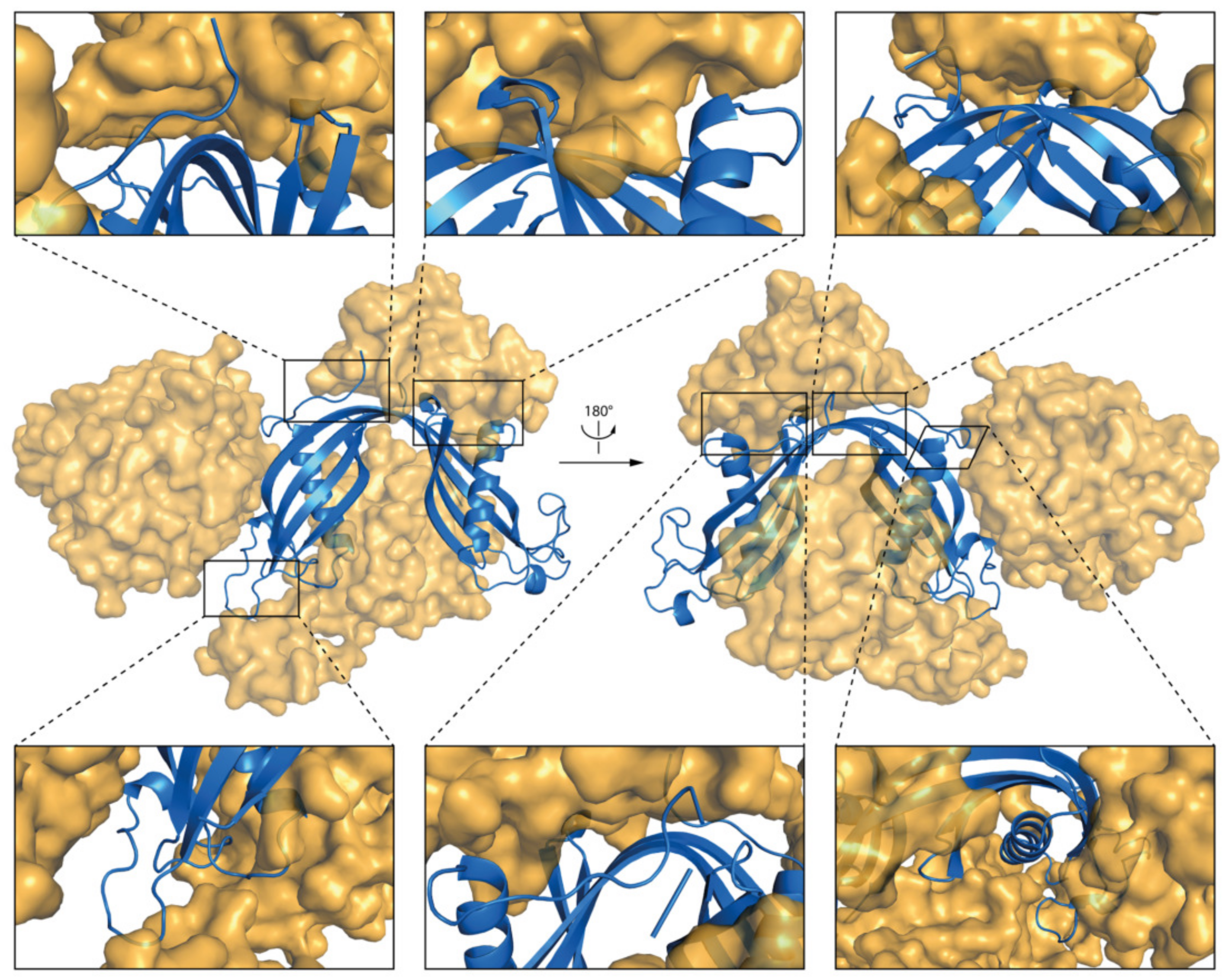 Membranes 11 00017 g012