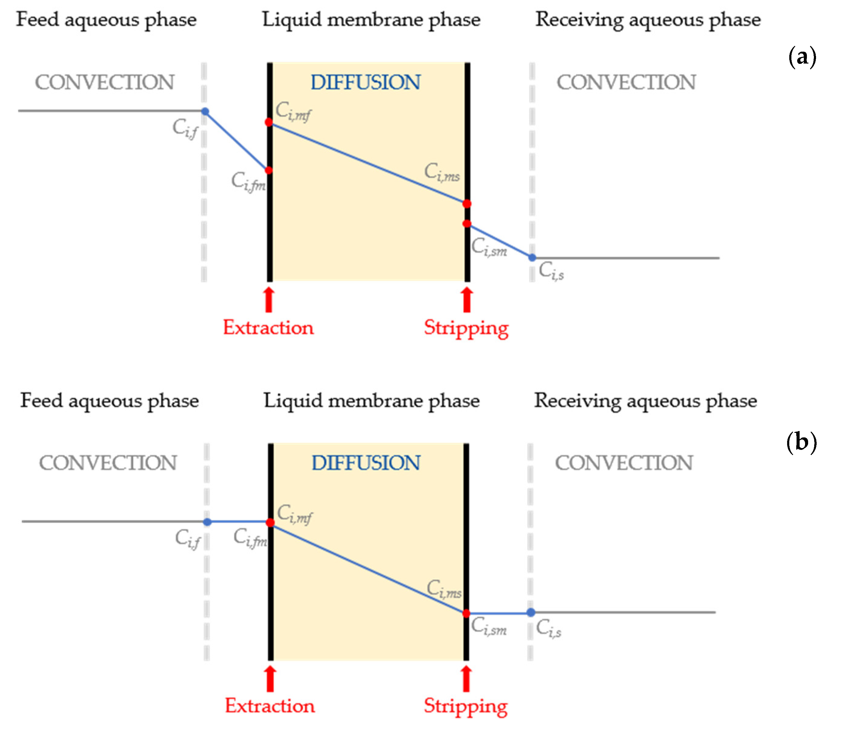 Membranes 11 00020 g001 Membranes 11 00020 g001