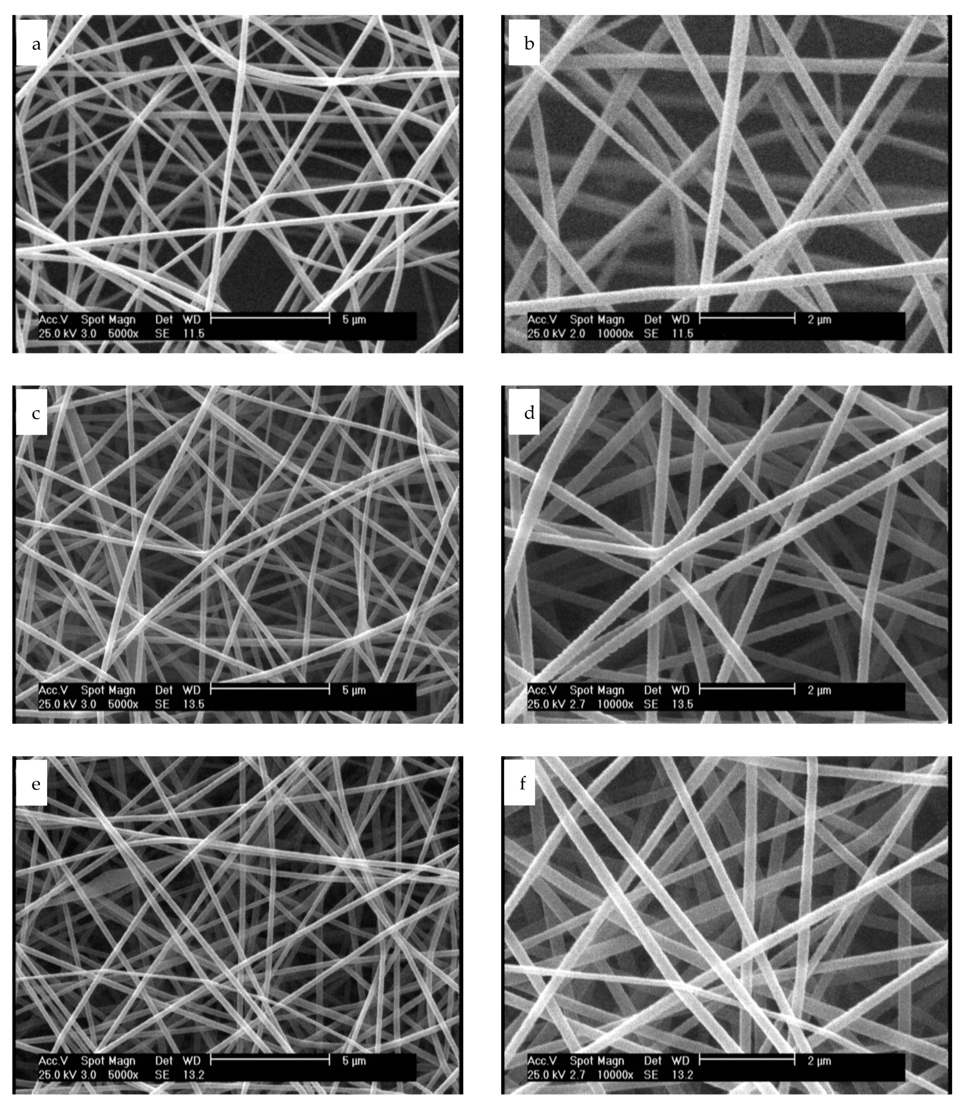 Membranes 11 00031 g001