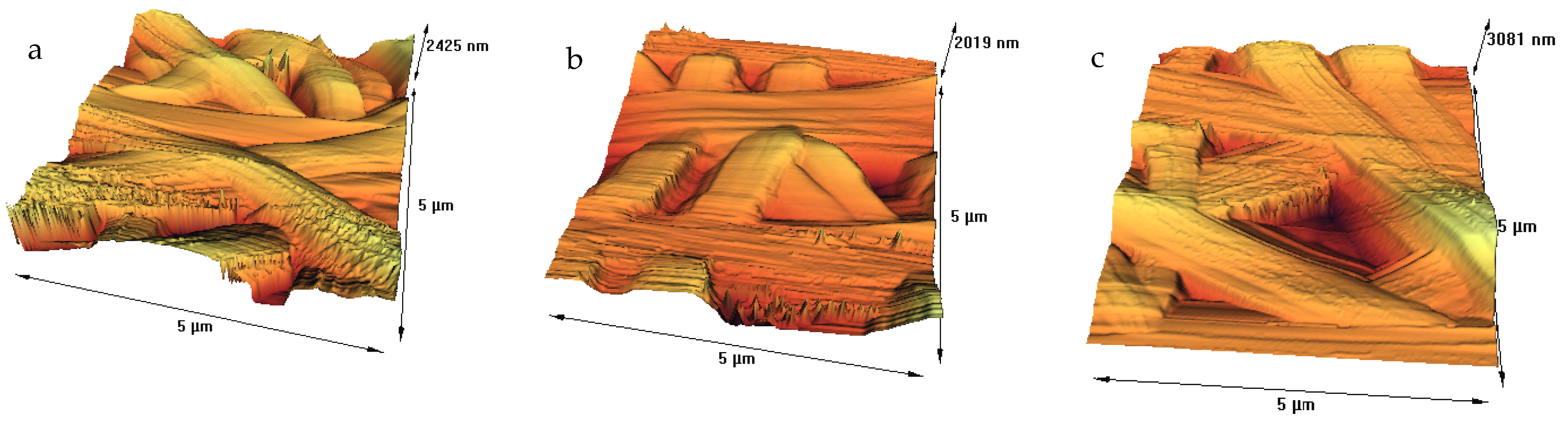 Membranes 11 00031 g002