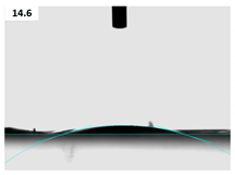 Membranes 11 00031 i002