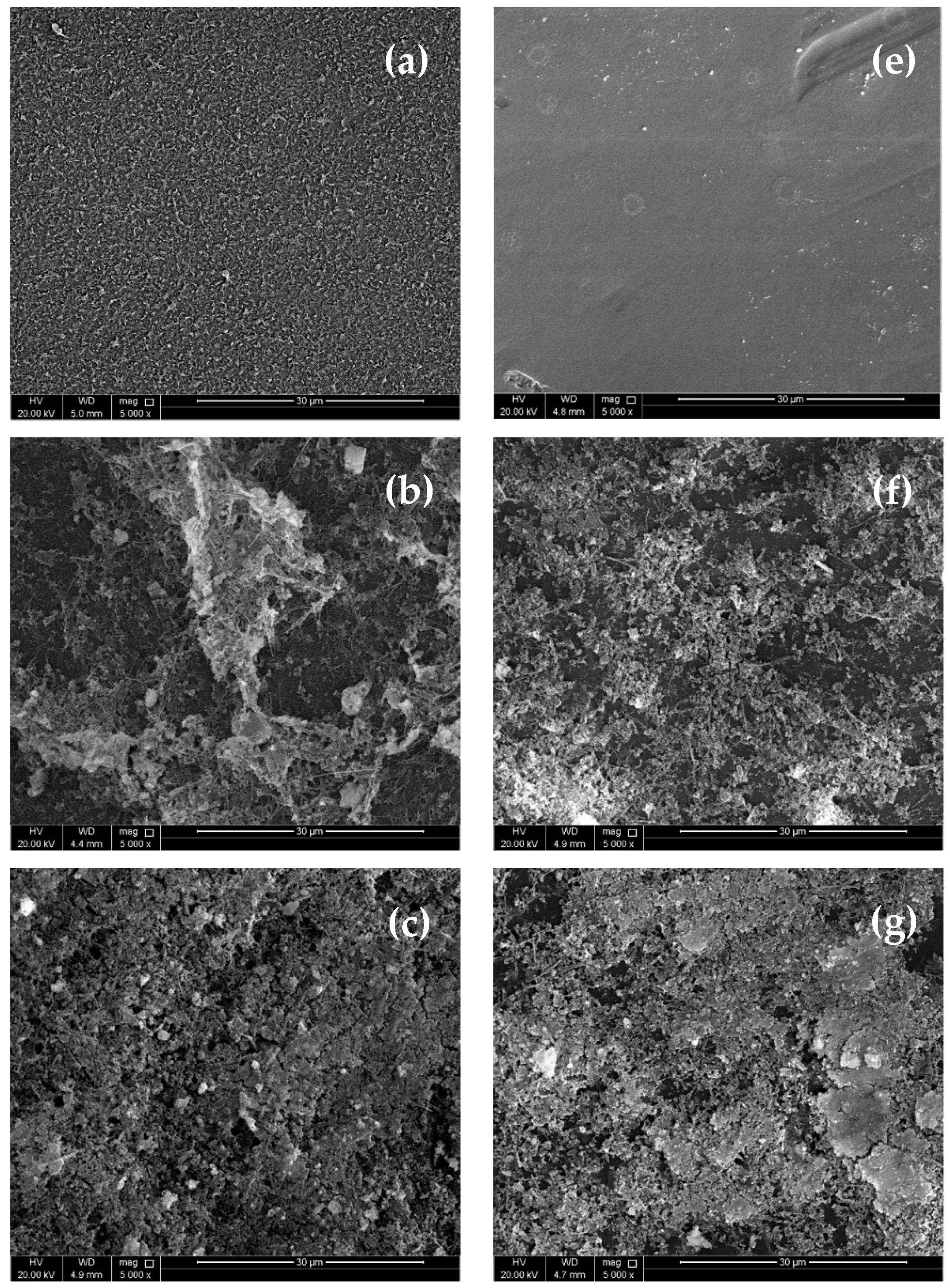Membranes 11 00032 g004a Membranes 11 00032 g004a