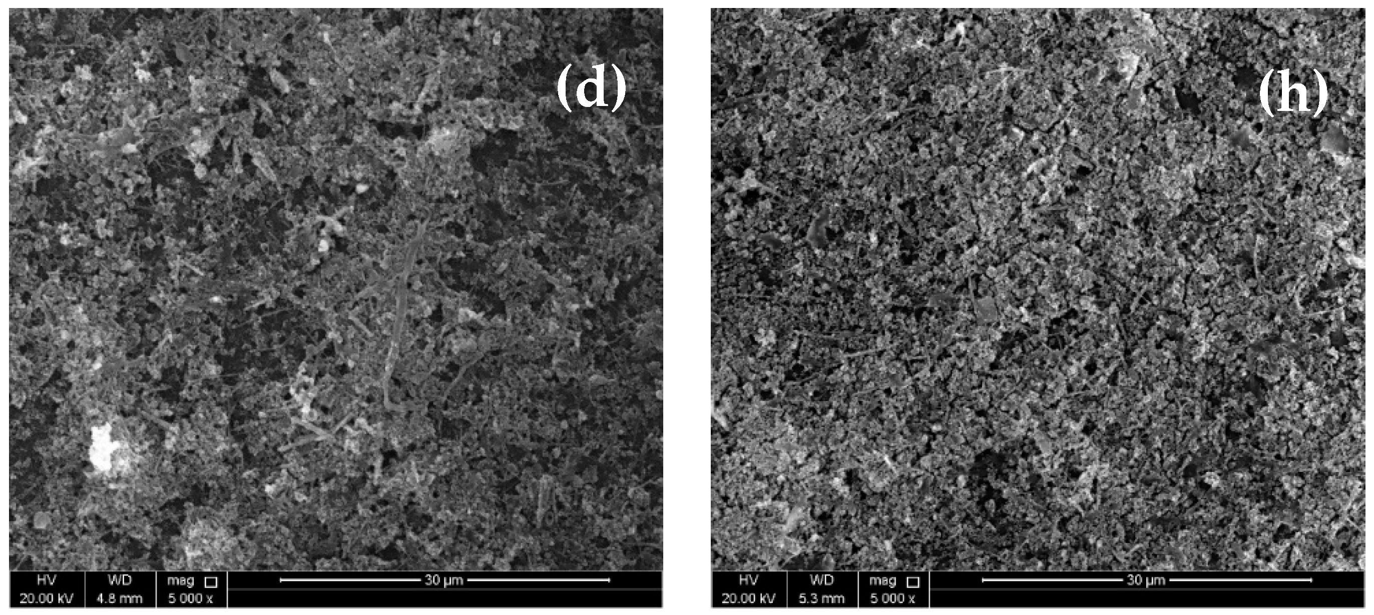 Membranes 11 00032 g004b Membranes 11 00032 g004b