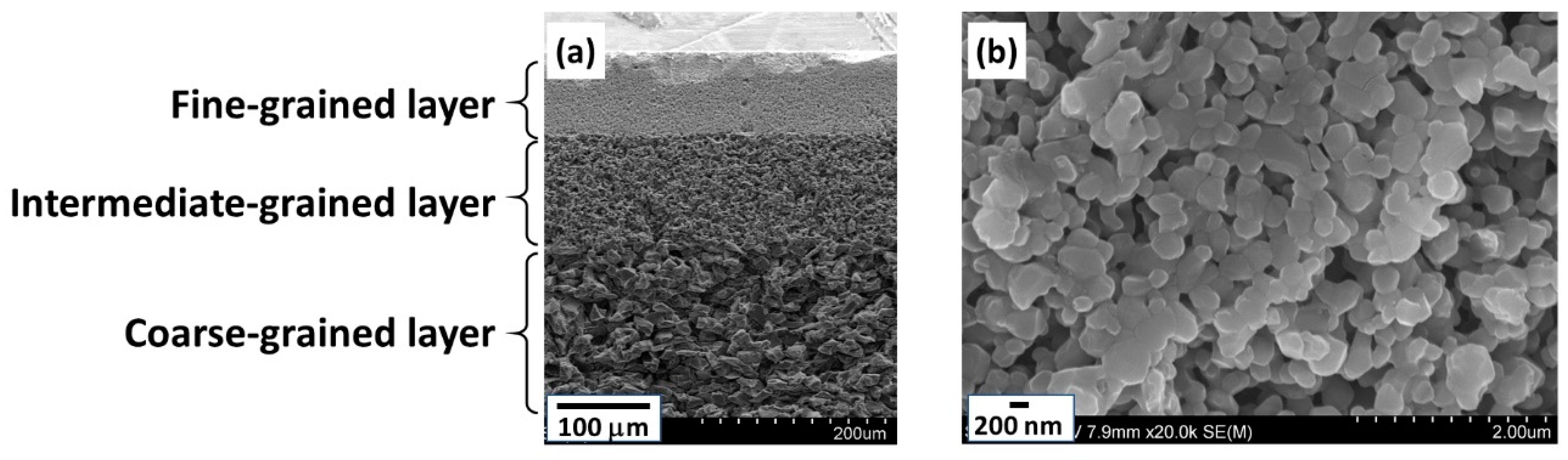 Membranes 11 00038 g003
