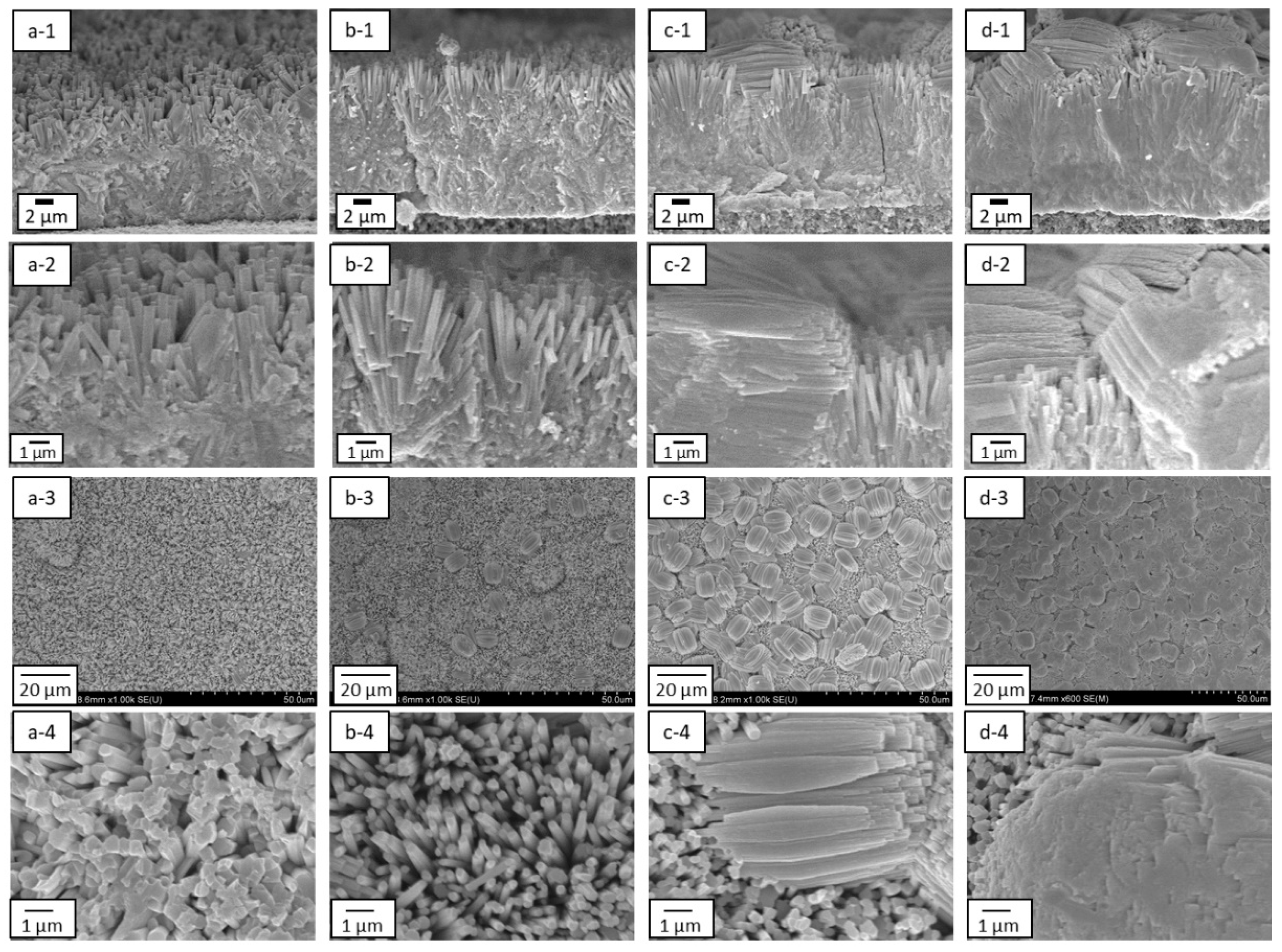 Membranes 11 00038 g010