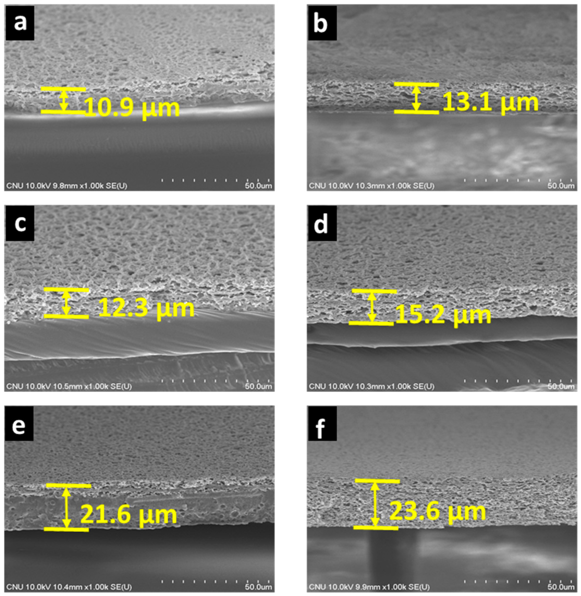 Membranes 11 00041 g003 Membranes 11 00041 g003