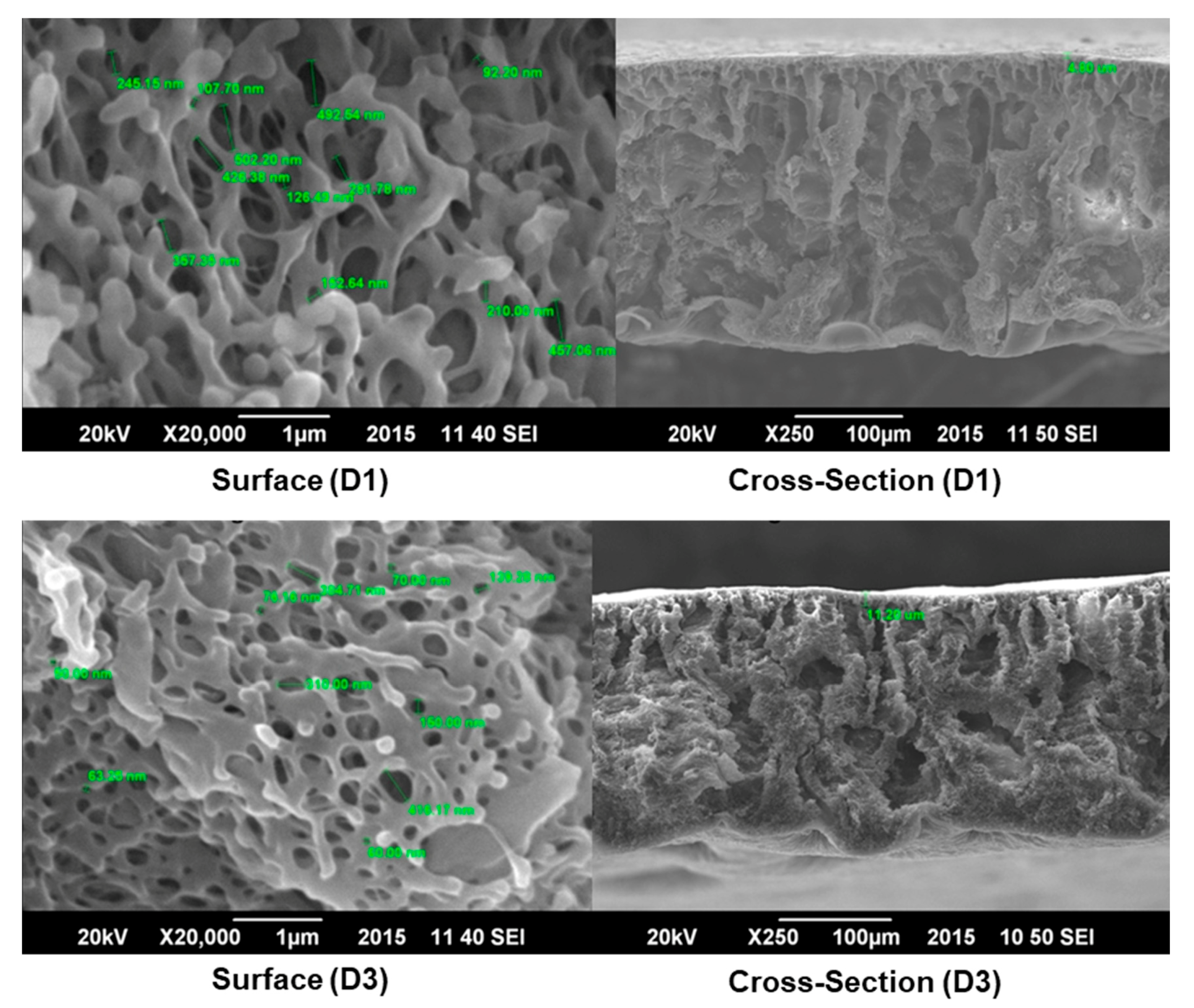 Membranes 11 00042 g003 Membranes 11 00042 g003