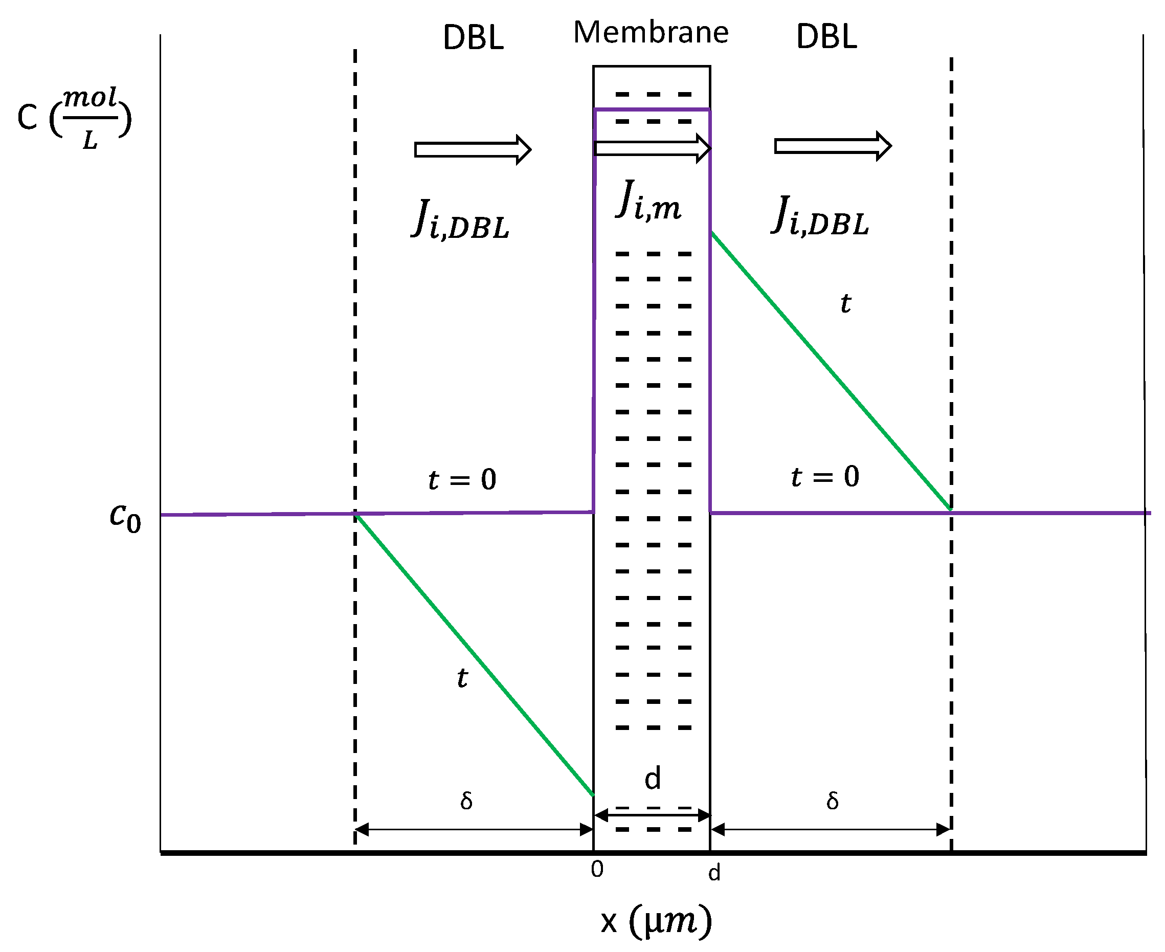 Membranes 11 00043 g001