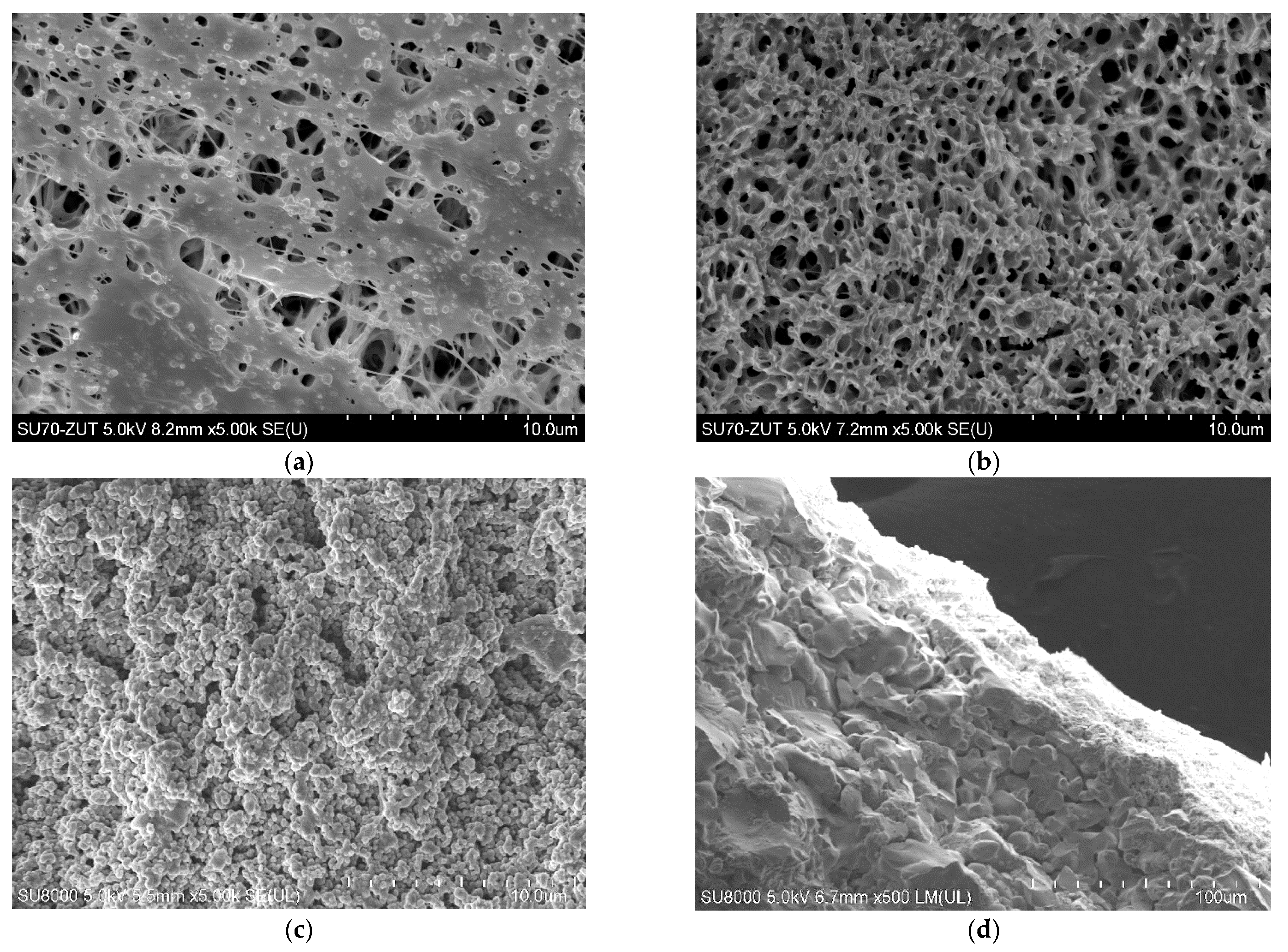 Membranes 11 00044 g002 Membranes 11 00044 g002