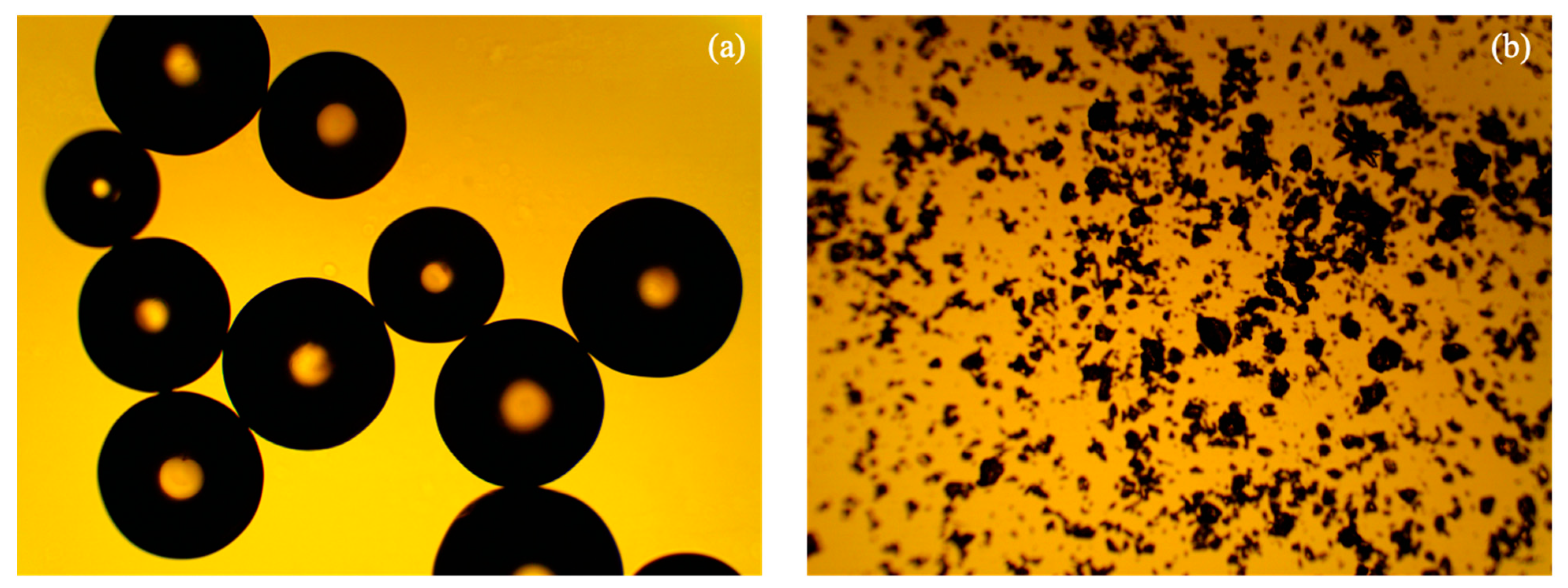 Membranes 11 00045 g009