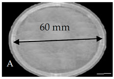 Membranes 11 00046 i001