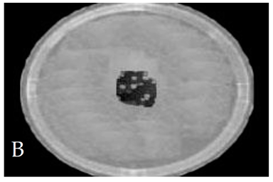 Membranes 11 00046 i002