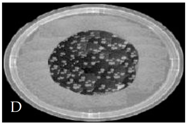 Membranes 11 00046 i004