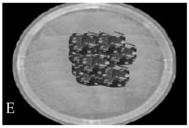 Membranes 11 00046 i005