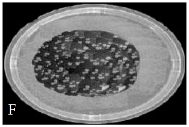 Membranes 11 00046 i006