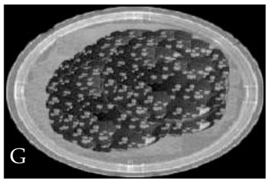 Membranes 11 00046 i007
