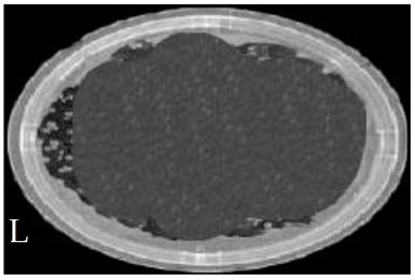 Membranes 11 00046 i010
