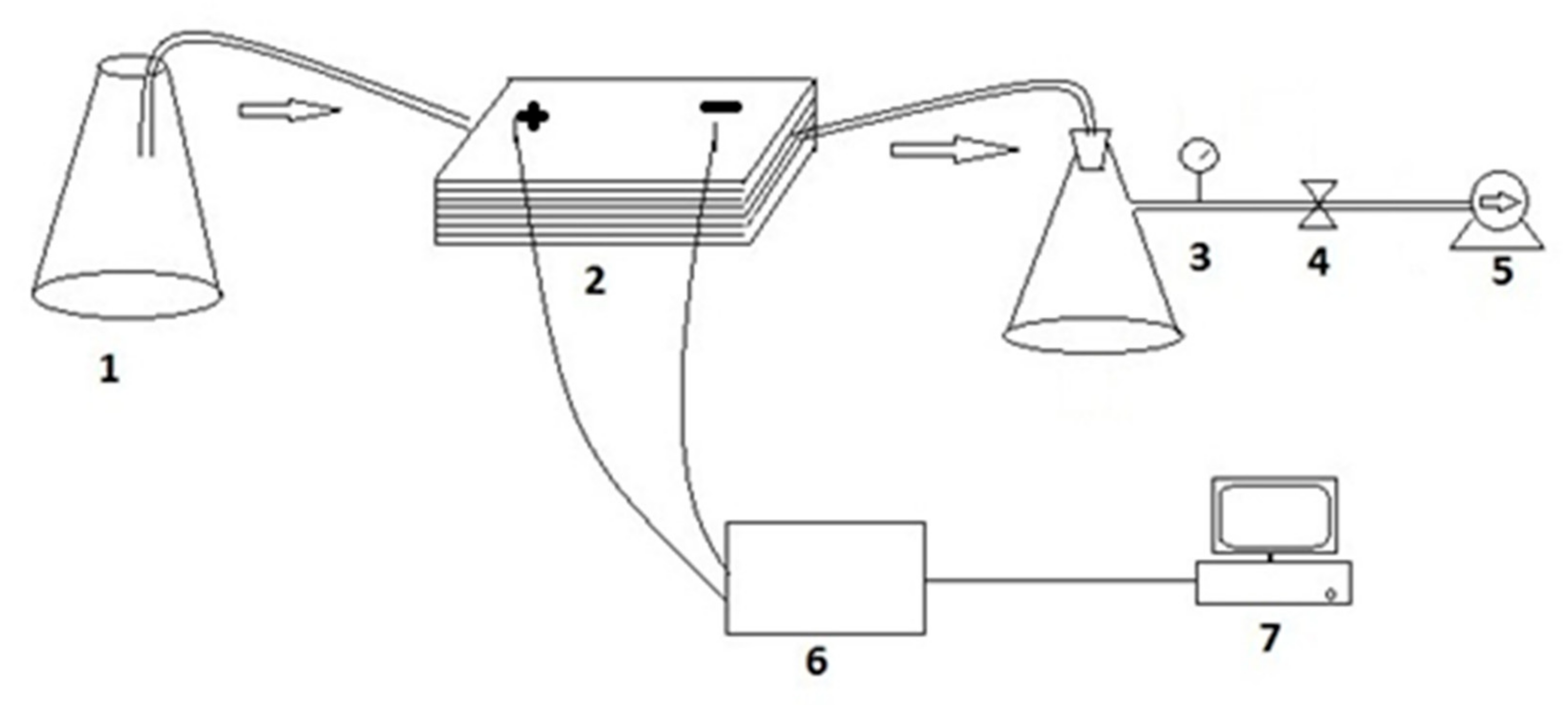 Membranes 11 00047 g001