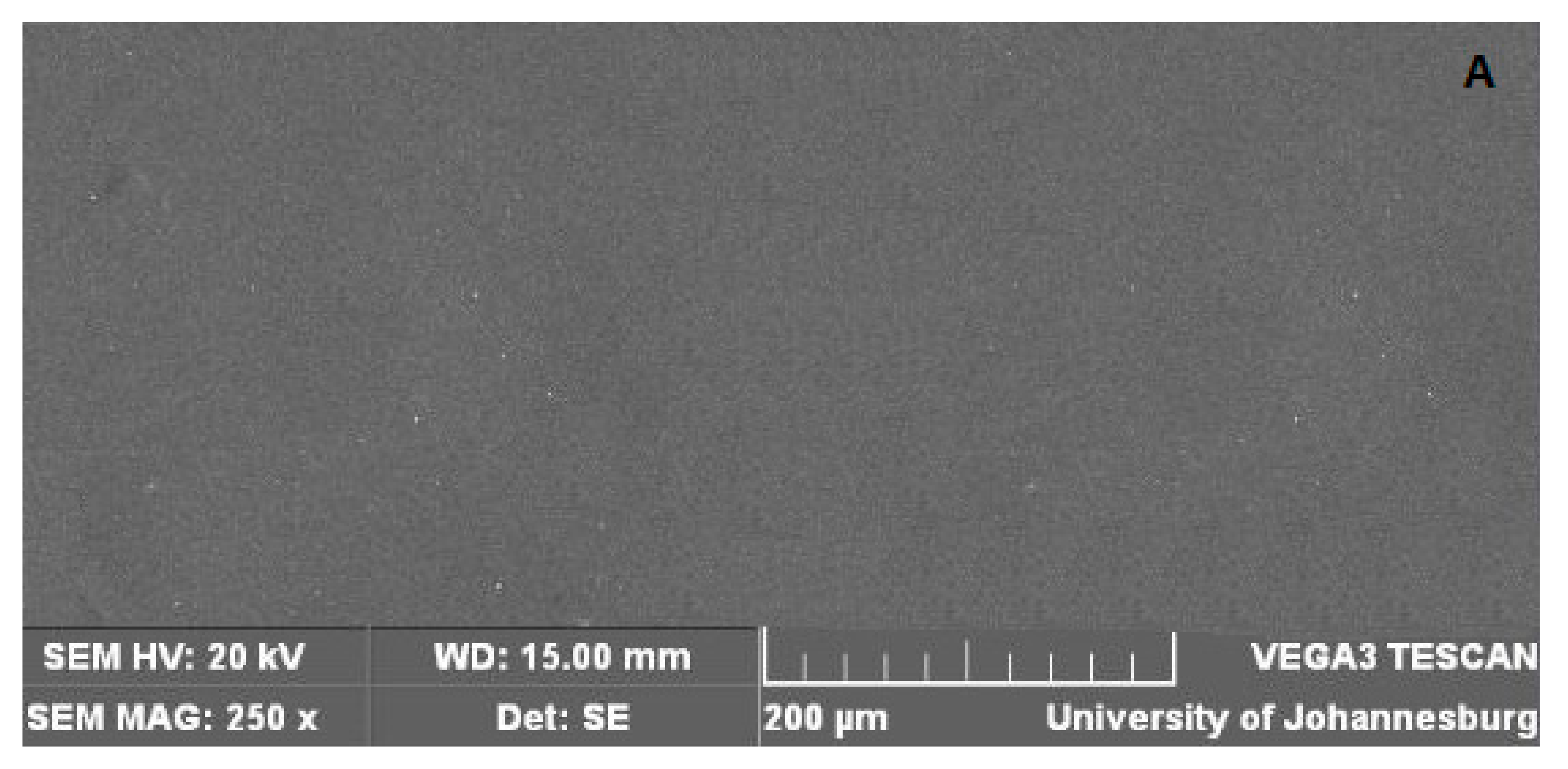 Membranes 11 00047 g009a