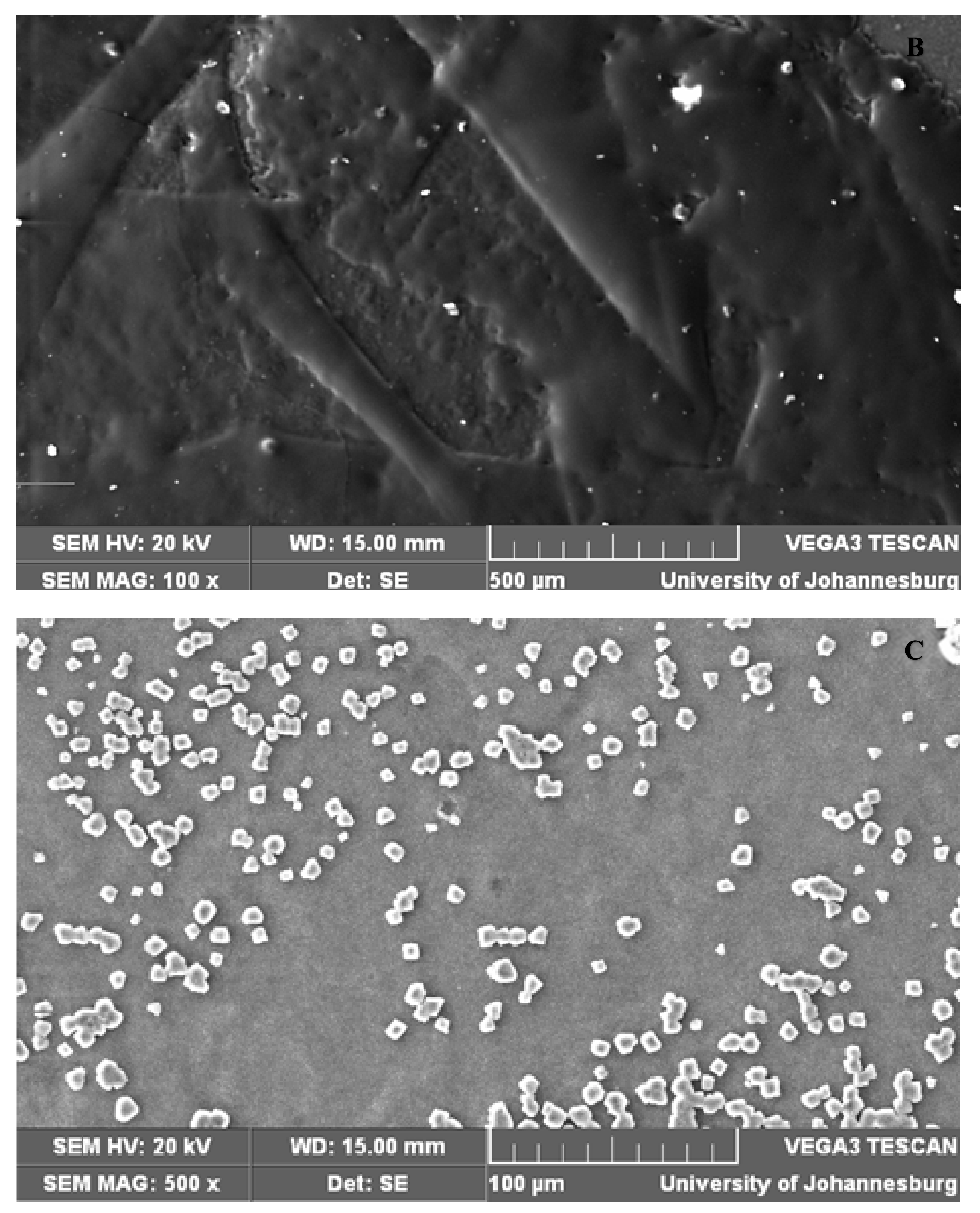 Membranes 11 00047 g009b