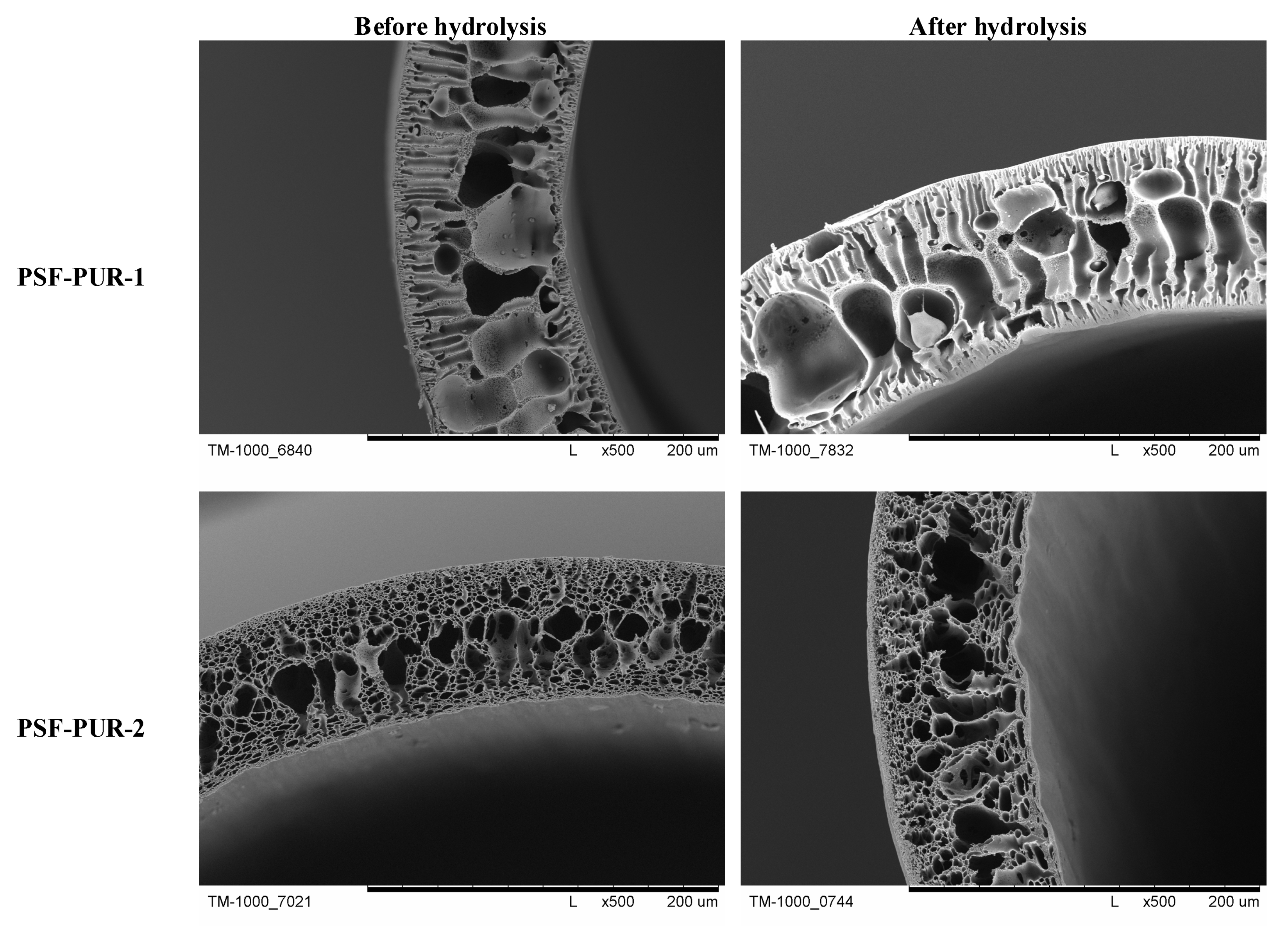 Membranes 11 00051 g006