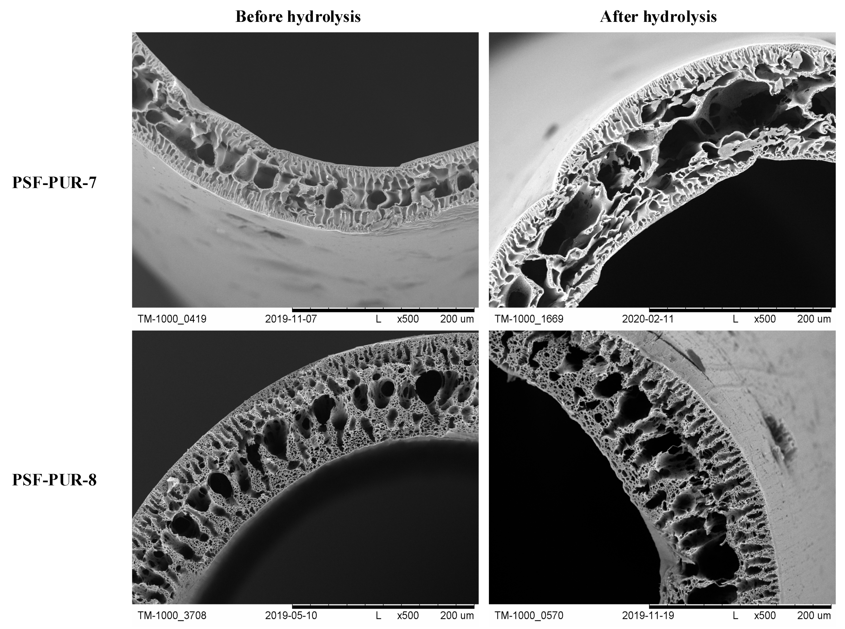 Membranes 11 00051 g009