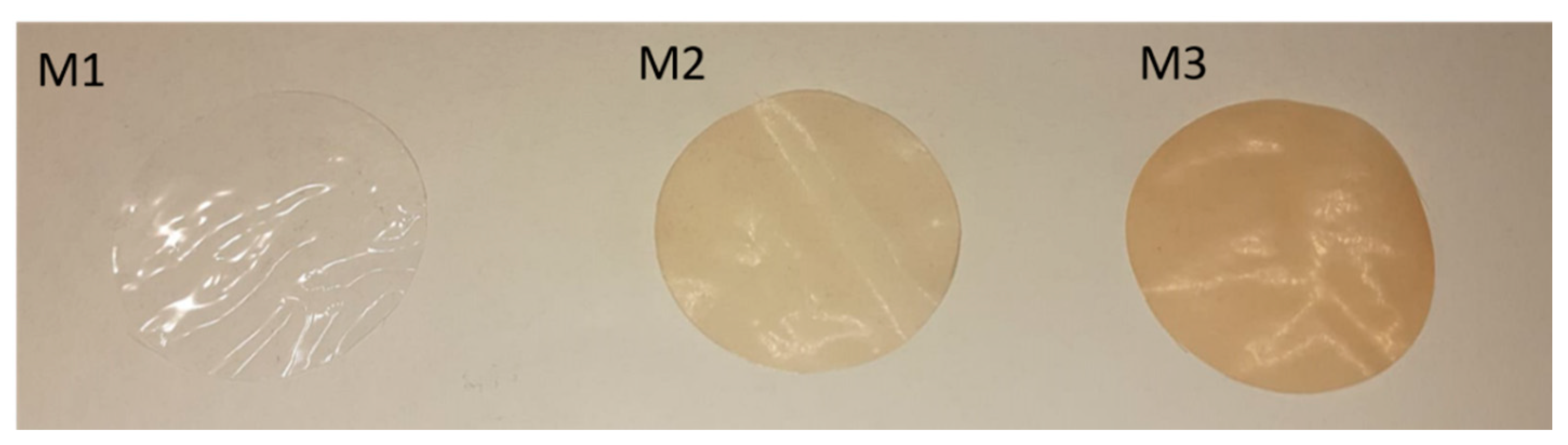 Membranes 11 00065 g003