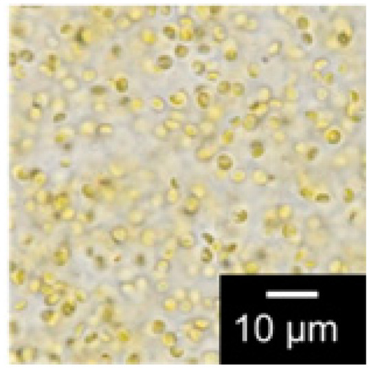 Membranes 11 00071 g0a1